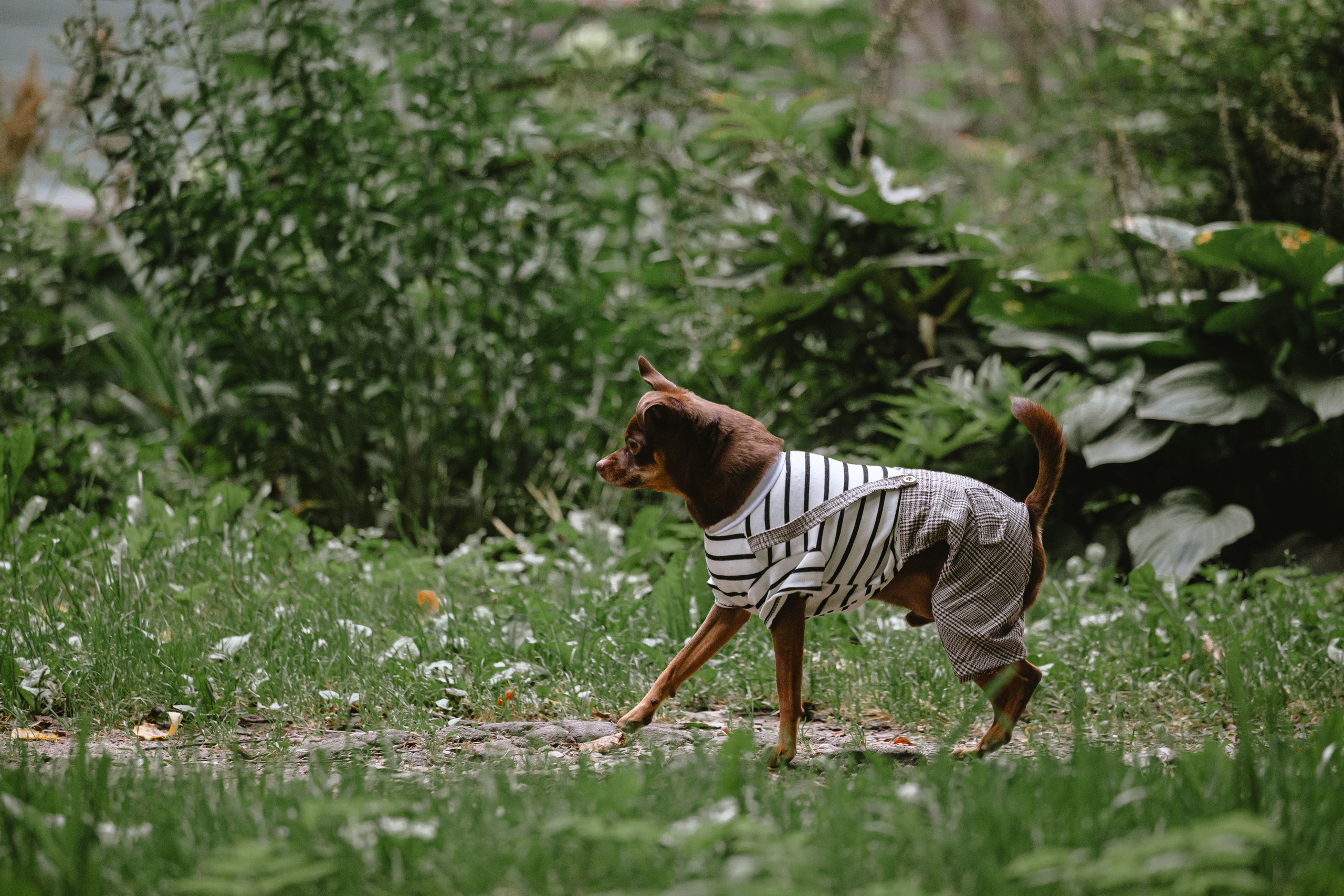 Юля и Леонид. Фотограф-анималист Татьяна Степанова