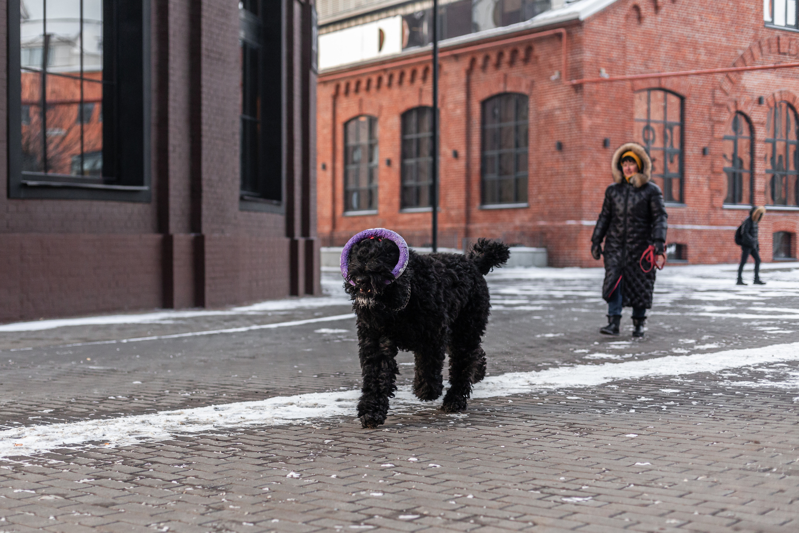 Фотопрогулка завод Арма. Фотограф-анималист Татьяна Степанова