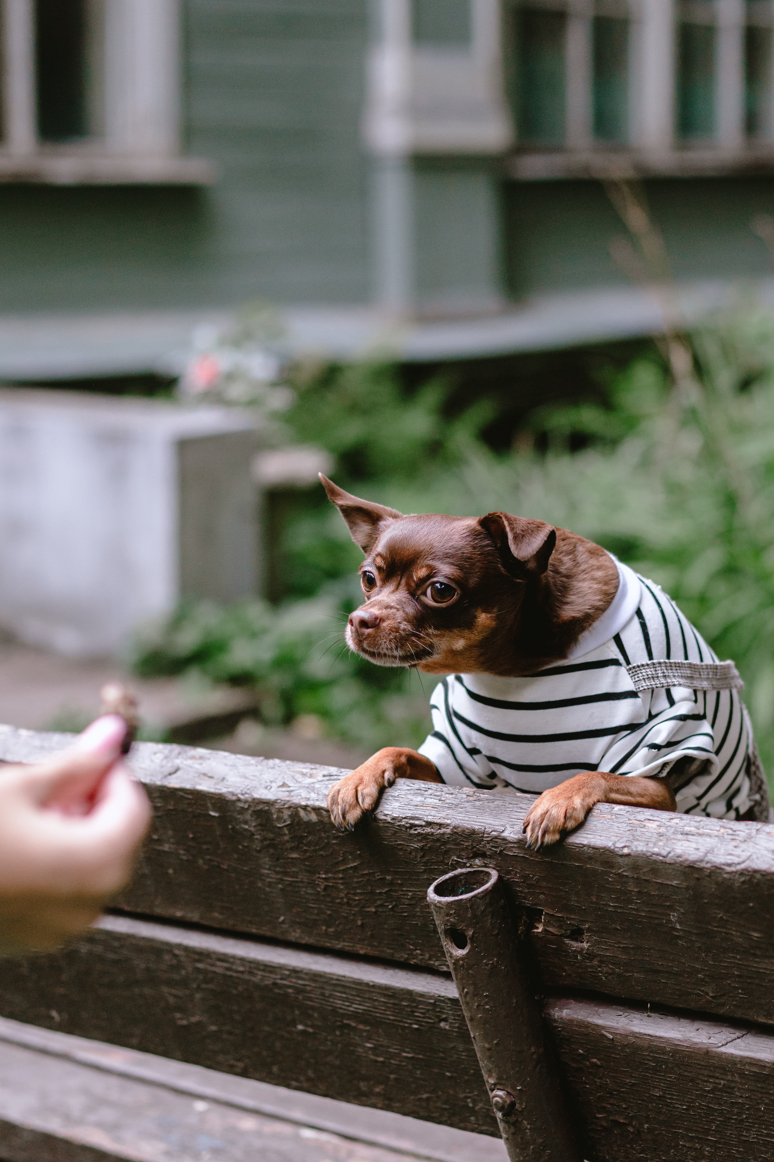 Юля и Леонид. Фотограф-анималист Татьяна Степанова