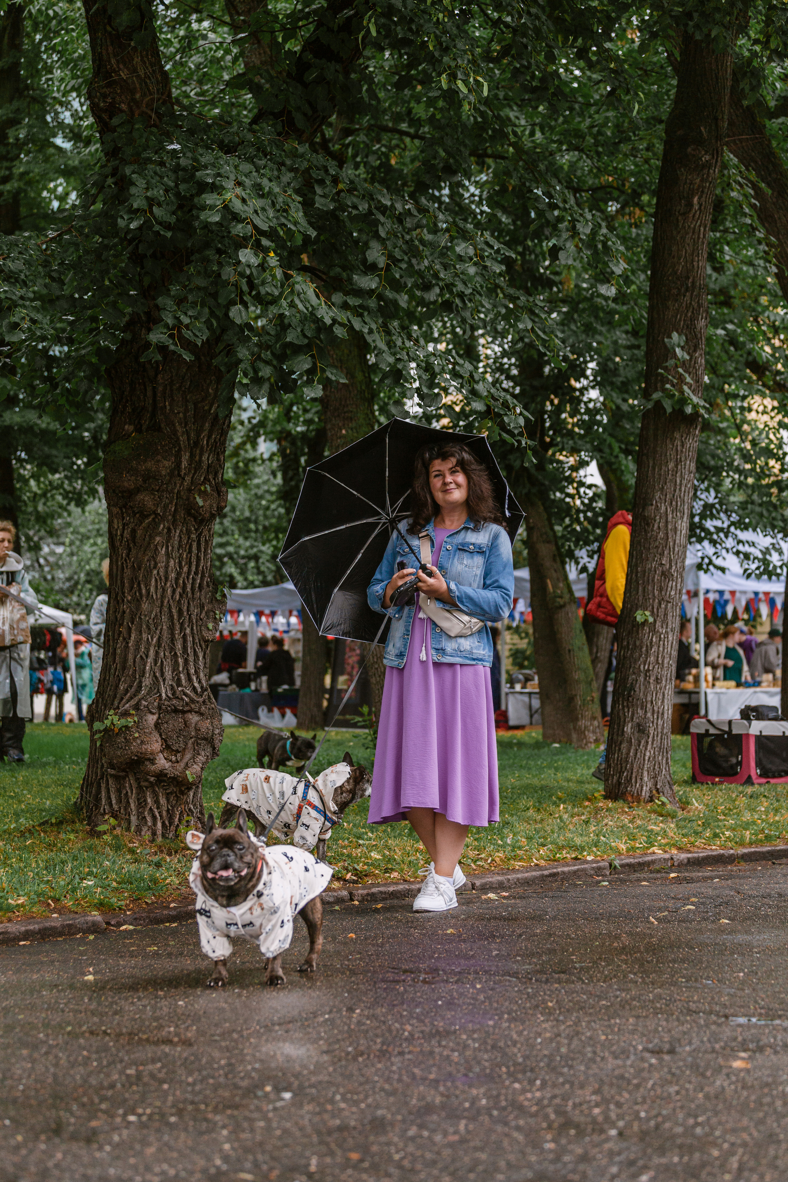 Парад французских бульдогов 15.07.2023. Фотограф-анималист Татьяна Степанова