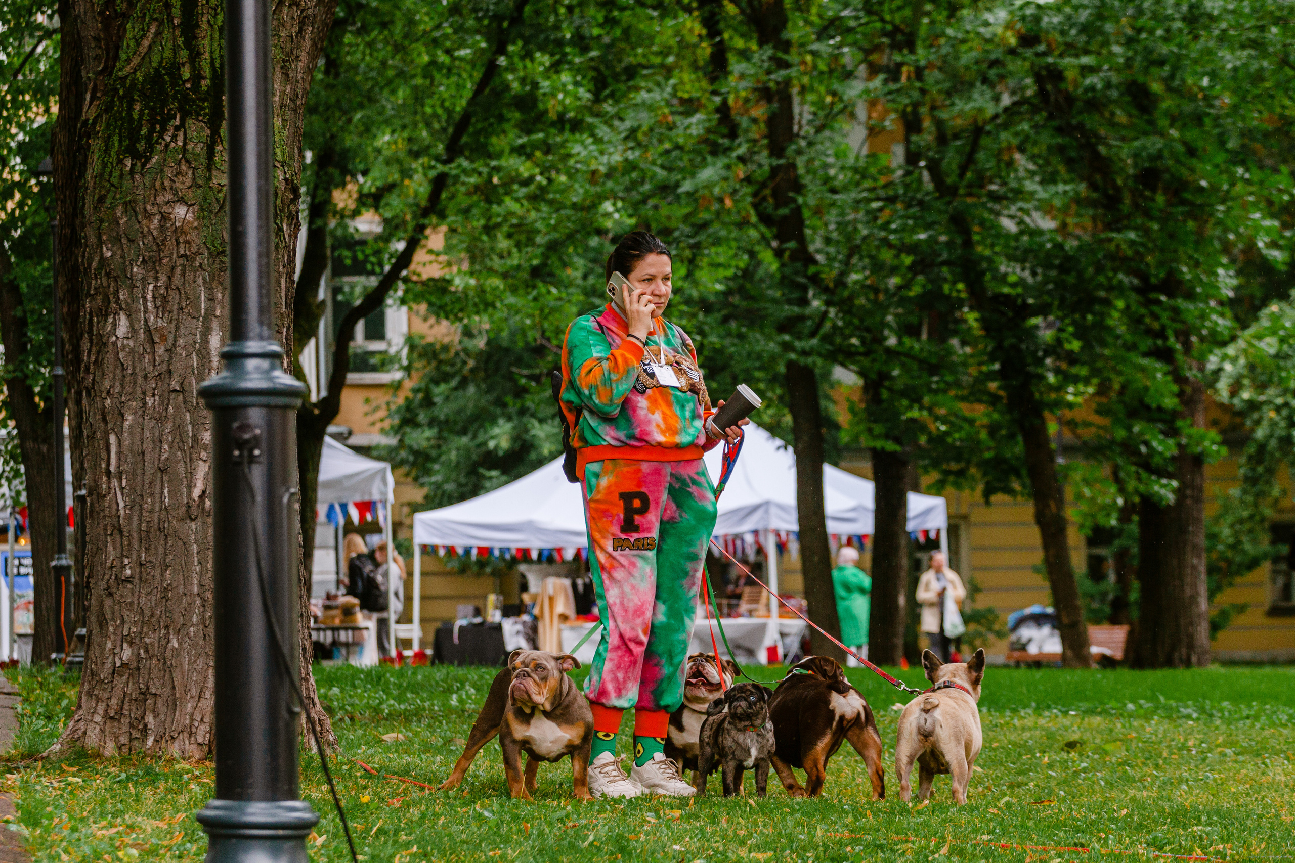 Парад французских бульдогов 15.07.2023. Фотограф-анималист Татьяна Степанова
