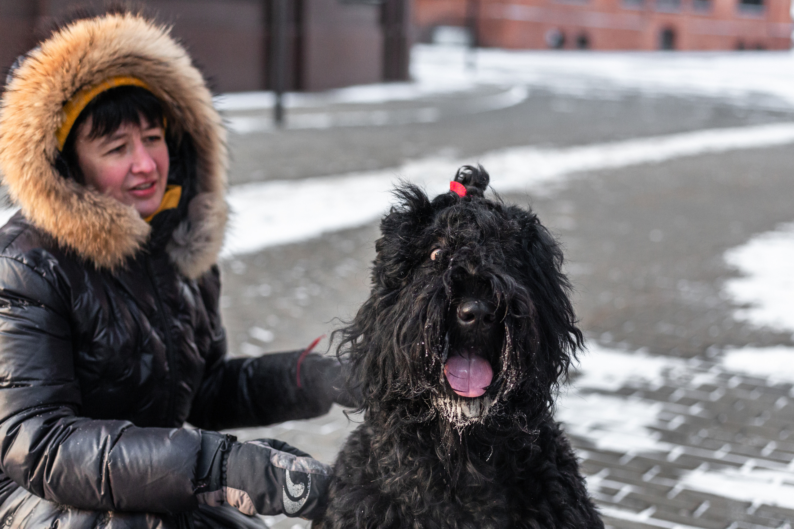 Фотопрогулка завод Арма. Фотограф-анималист Татьяна Степанова