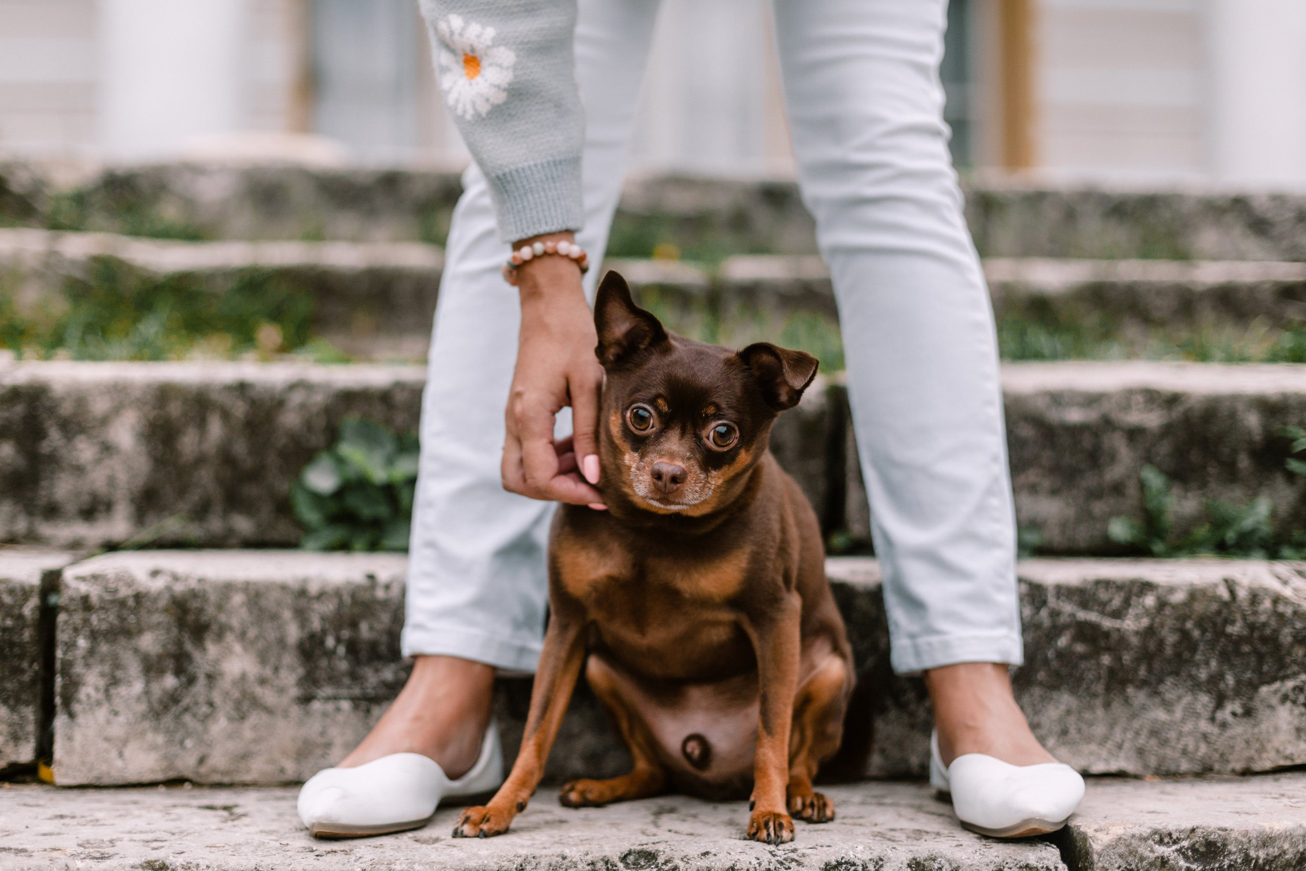 Юля и Леонид. Фотограф-анималист Татьяна Степанова