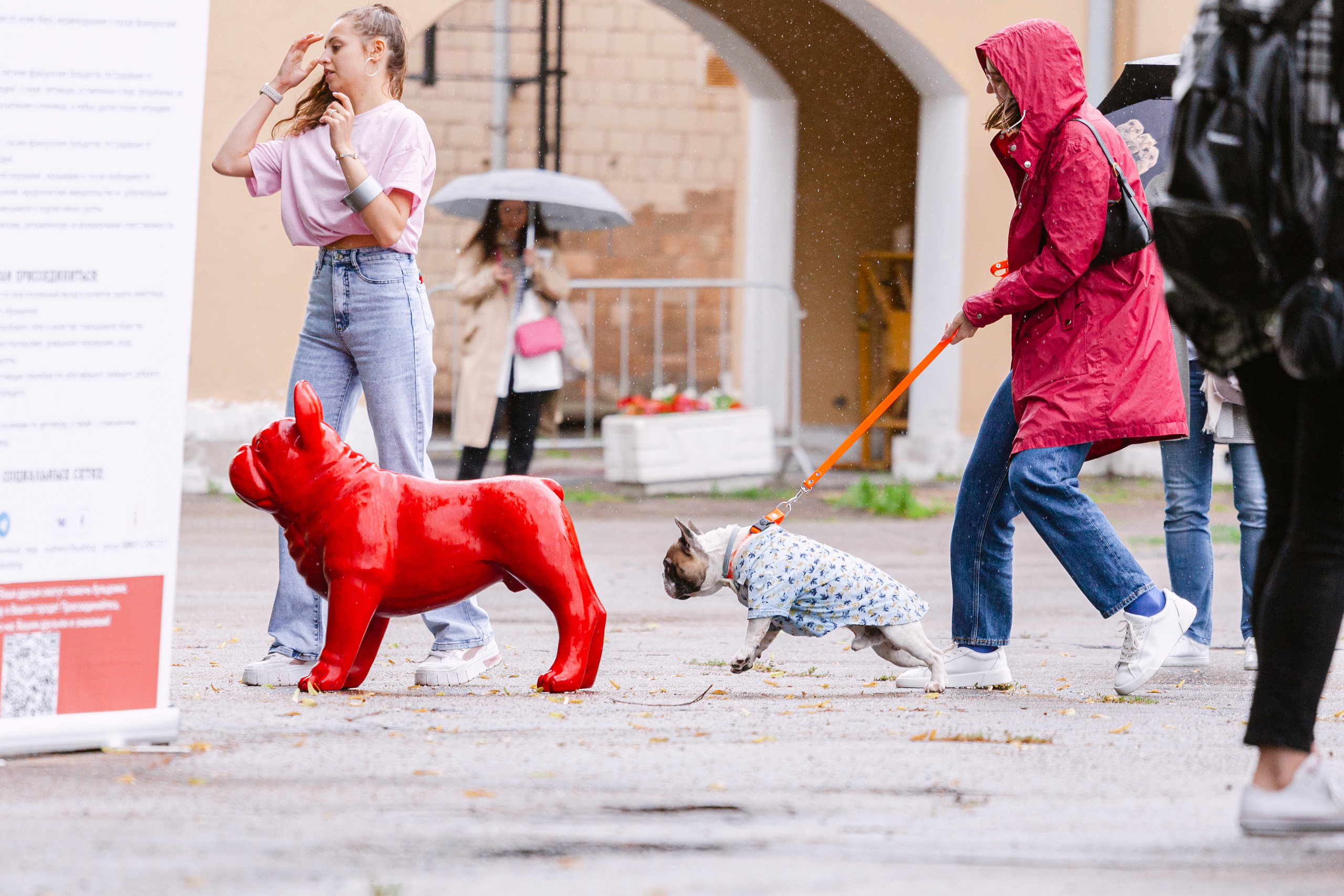 Парад французских бульдогов 15.07.2023. Фотограф-анималист Татьяна Степанова