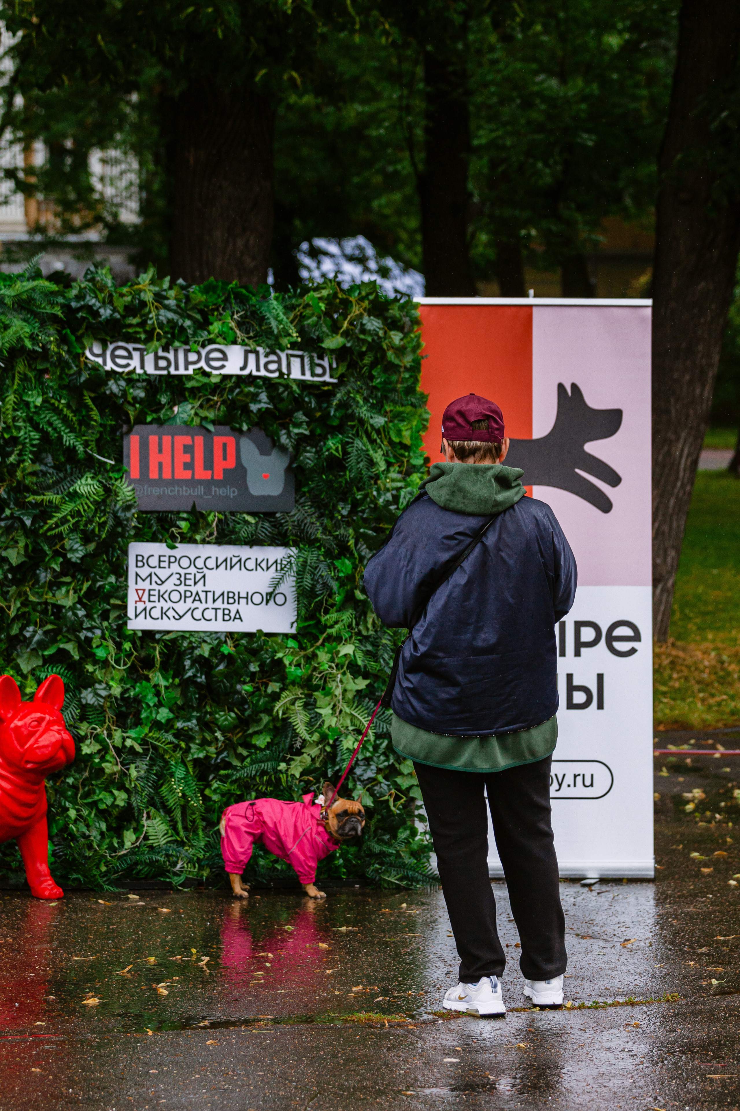 Парад французских бульдогов 15.07.2023. Фотограф-анималист Татьяна Степанова