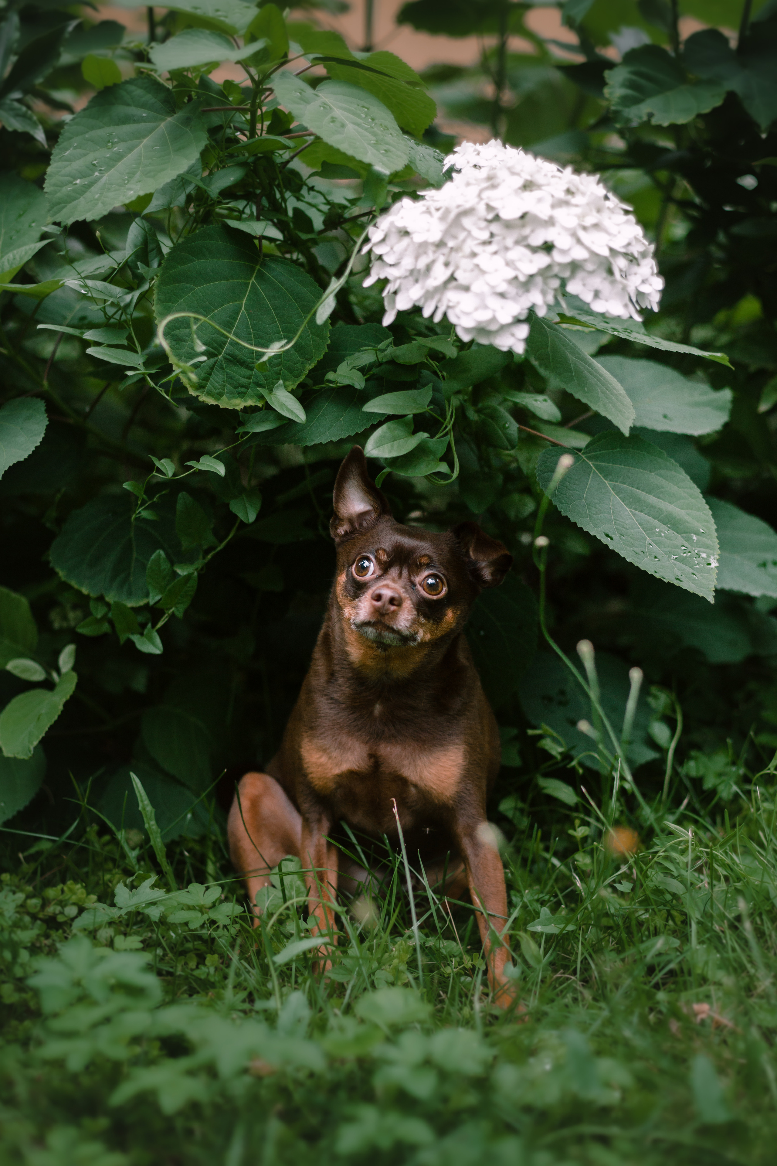 Юля и Леонид. Фотограф-анималист Татьяна Степанова