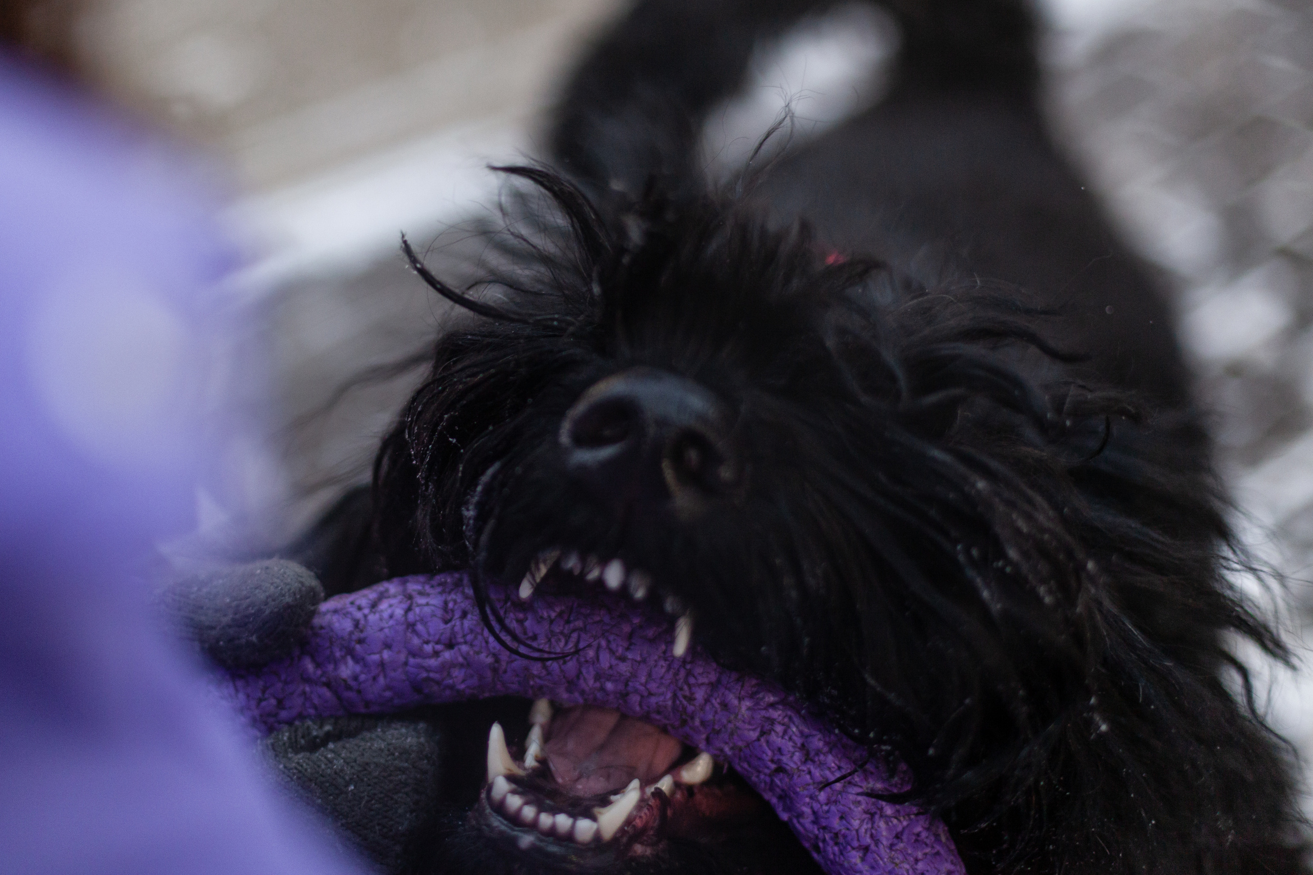 Фотопрогулка завод Арма. Фотограф-анималист Татьяна Степанова