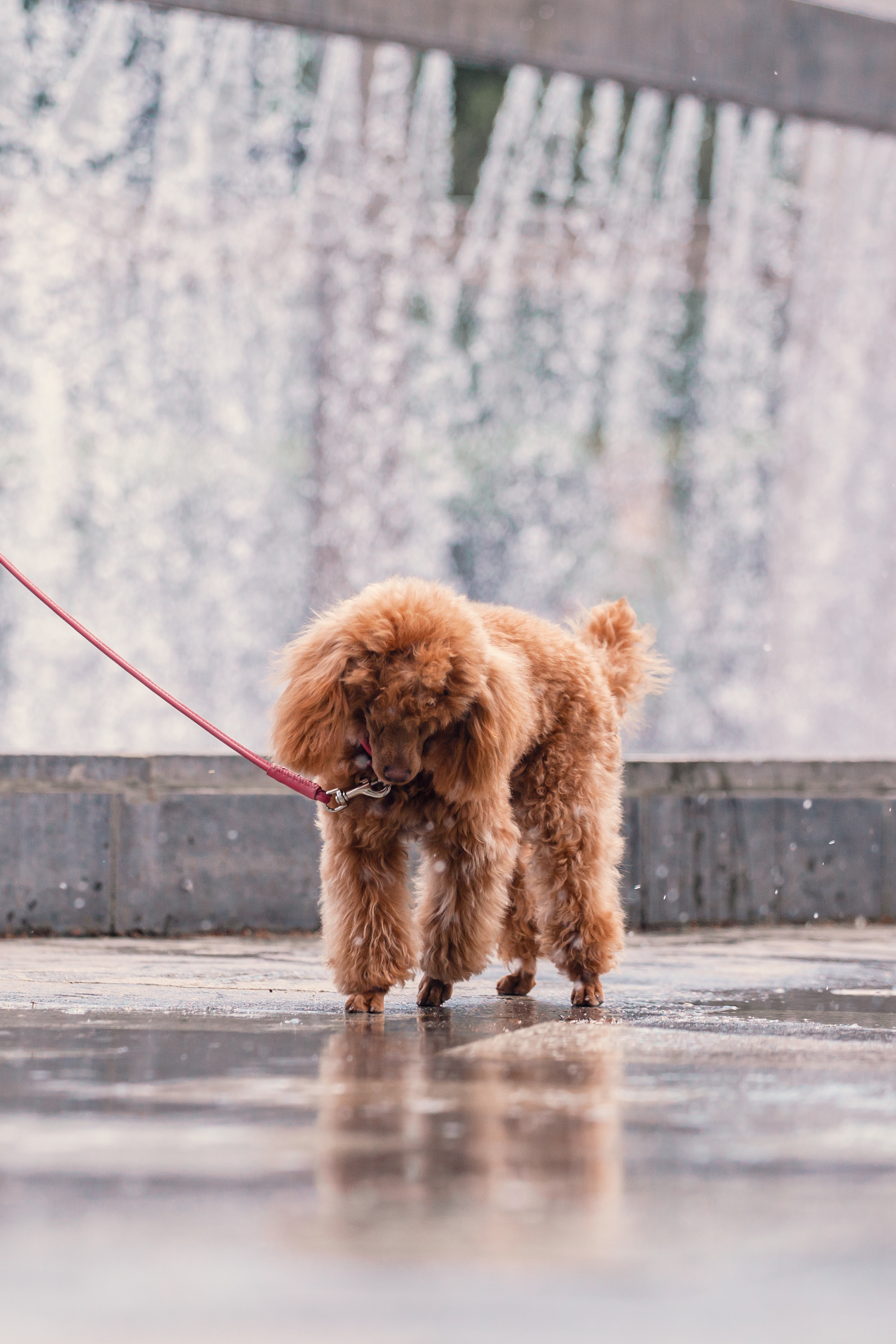 Оля и Ася. Фотограф-анималист Татьяна Степанова
