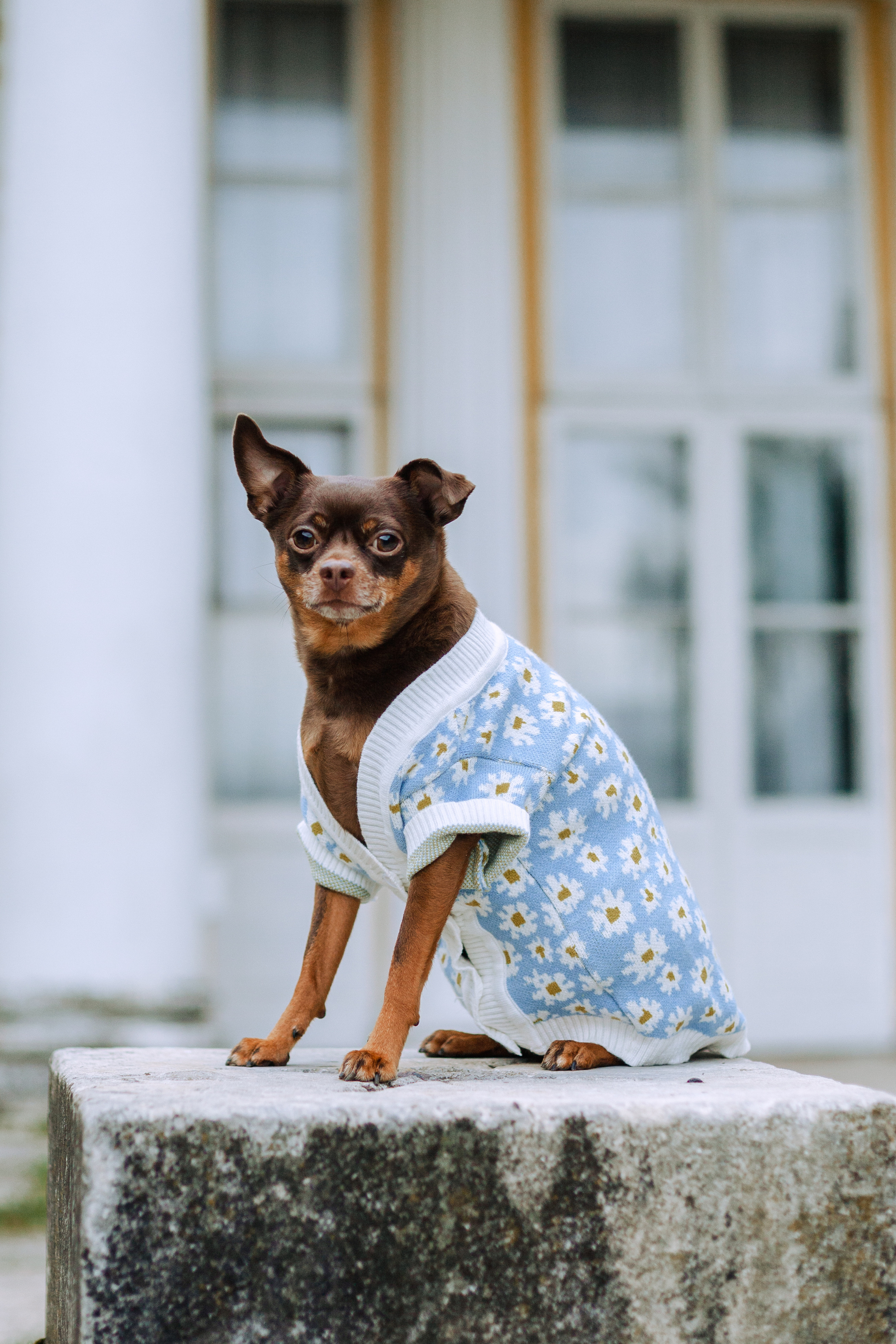 Юля и Леонид. Фотограф-анималист Татьяна Степанова