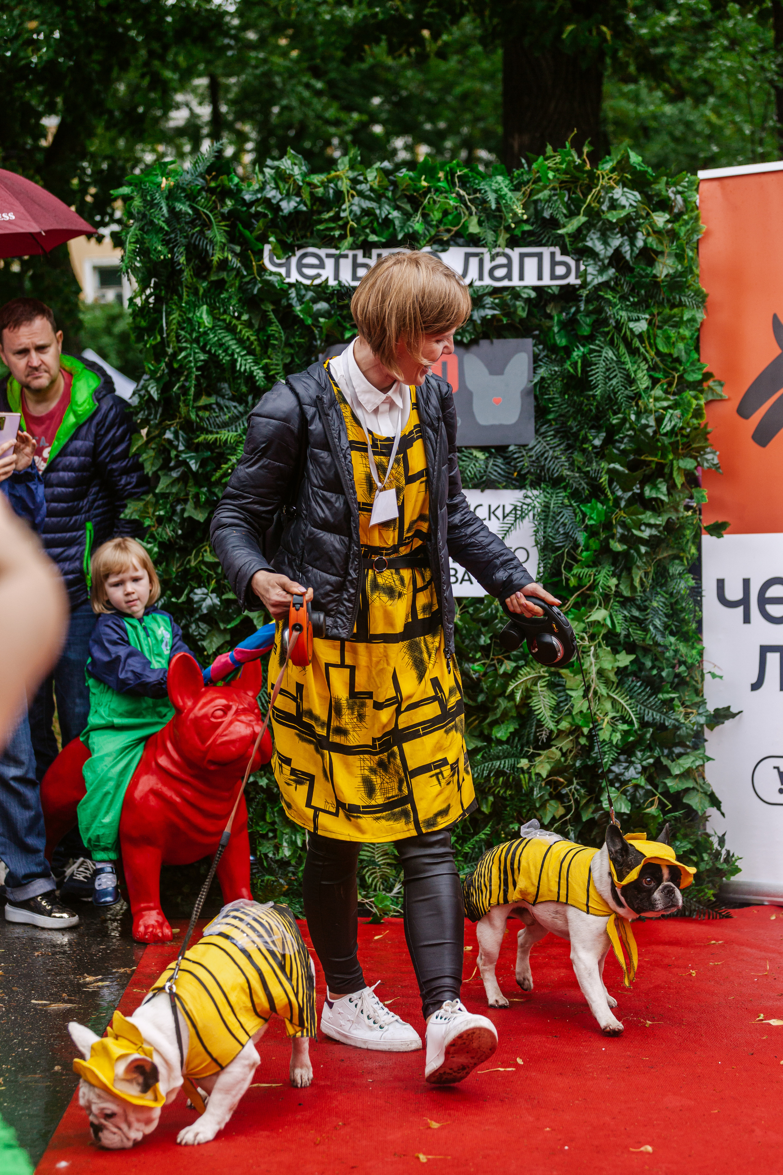 Парад французских бульдогов 15.07.2023. Фотограф-анималист Татьяна Степанова