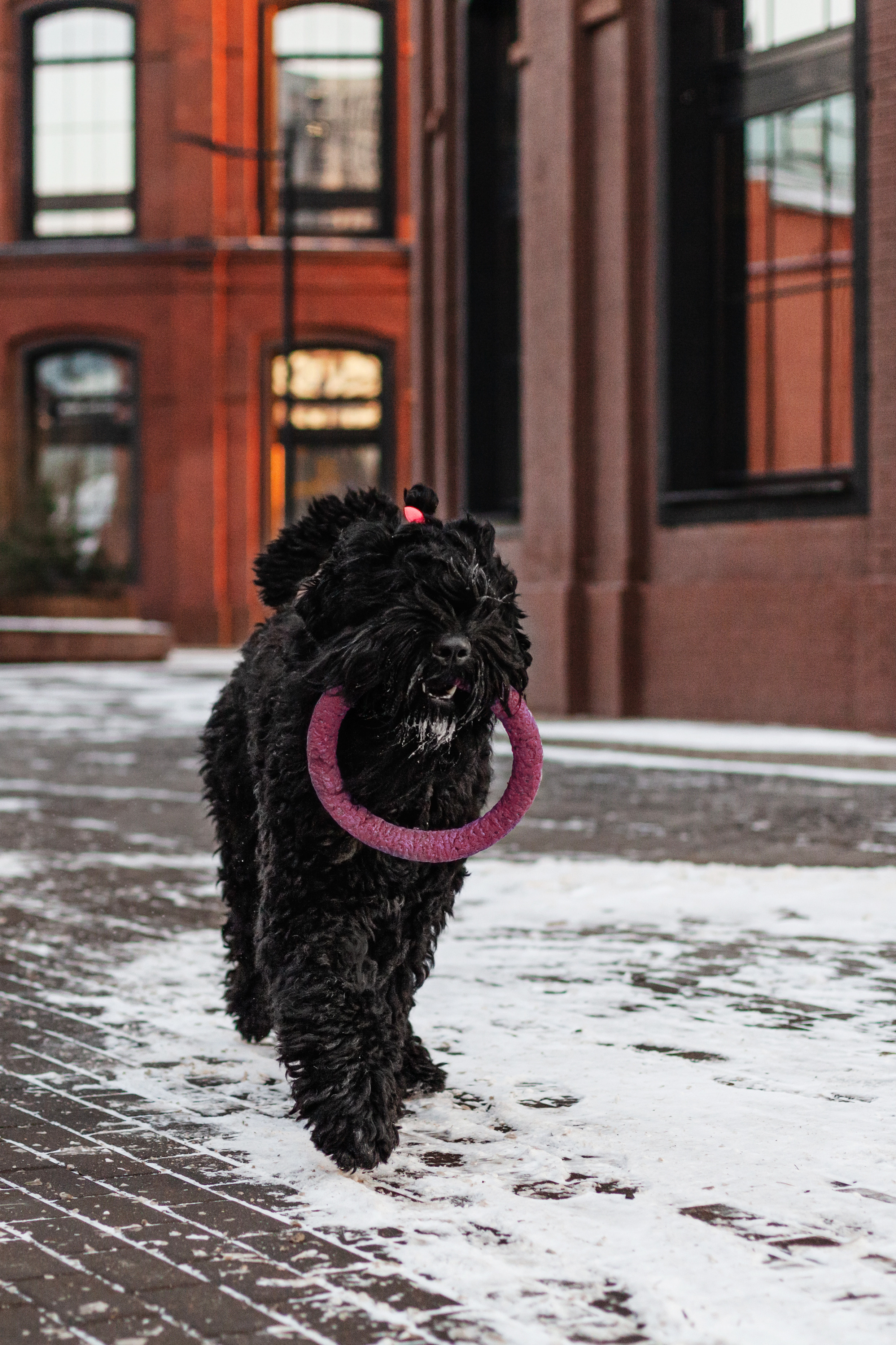 Фотопрогулка завод Арма. Фотограф-анималист Татьяна Степанова