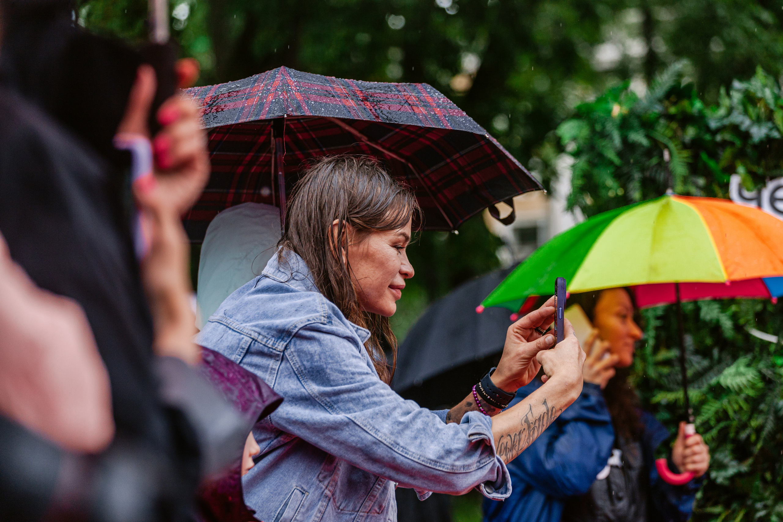 Парад французских бульдогов 15.07.2023. Фотограф-анималист Татьяна Степанова