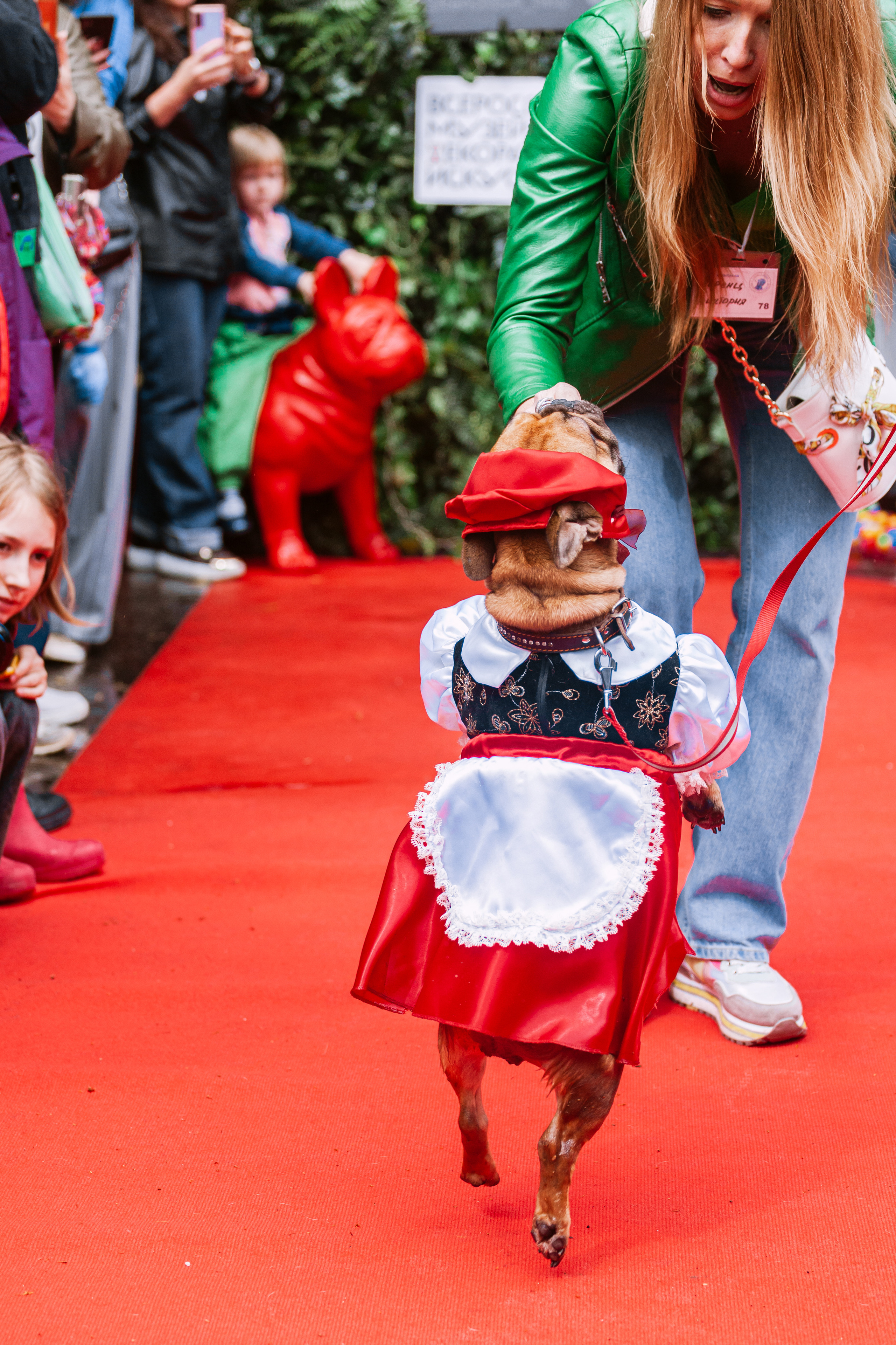 Парад французских бульдогов 15.07.2023. Фотограф-анималист Татьяна Степанова