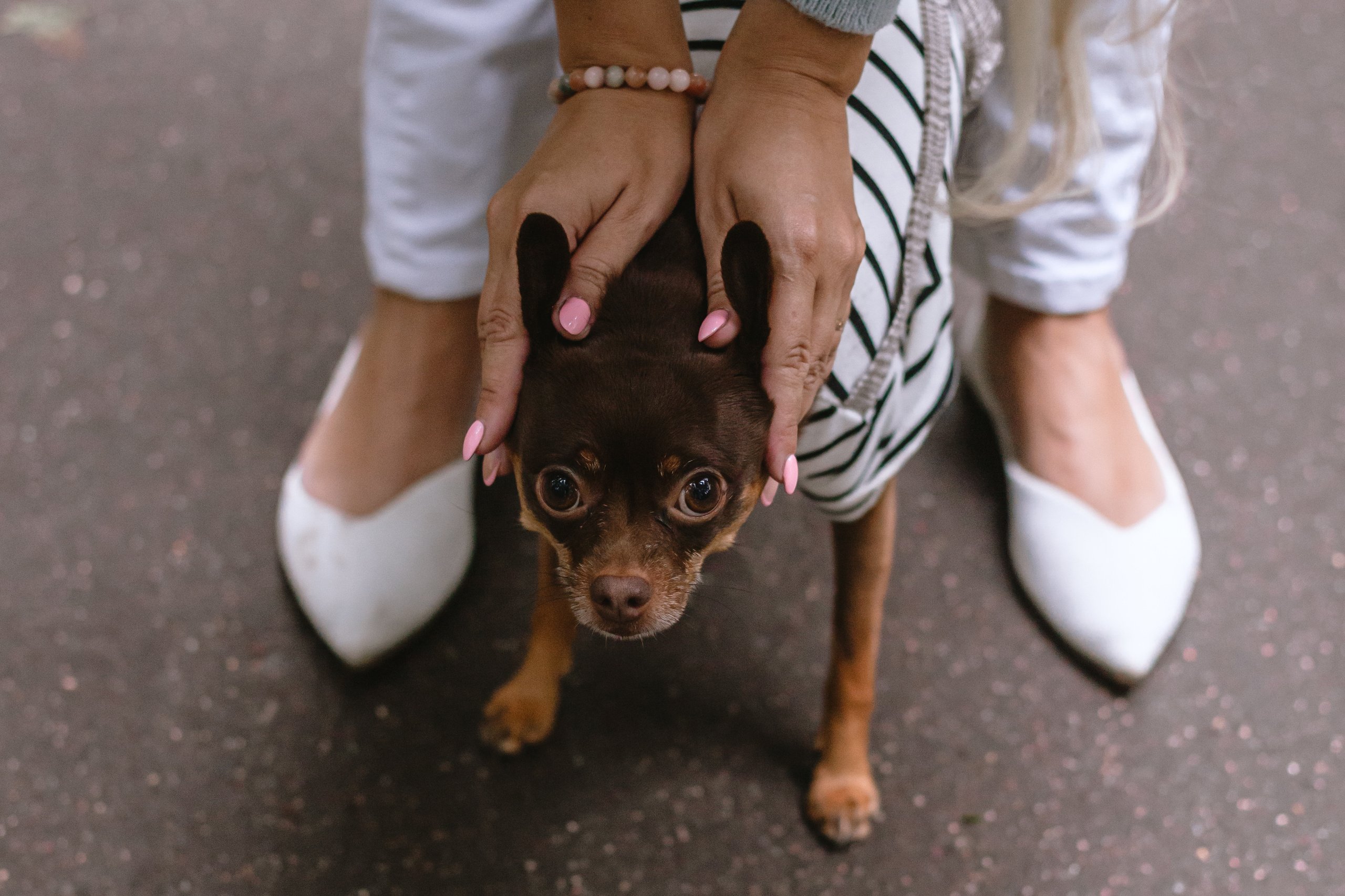 Юля и Леонид. Фотограф-анималист Татьяна Степанова