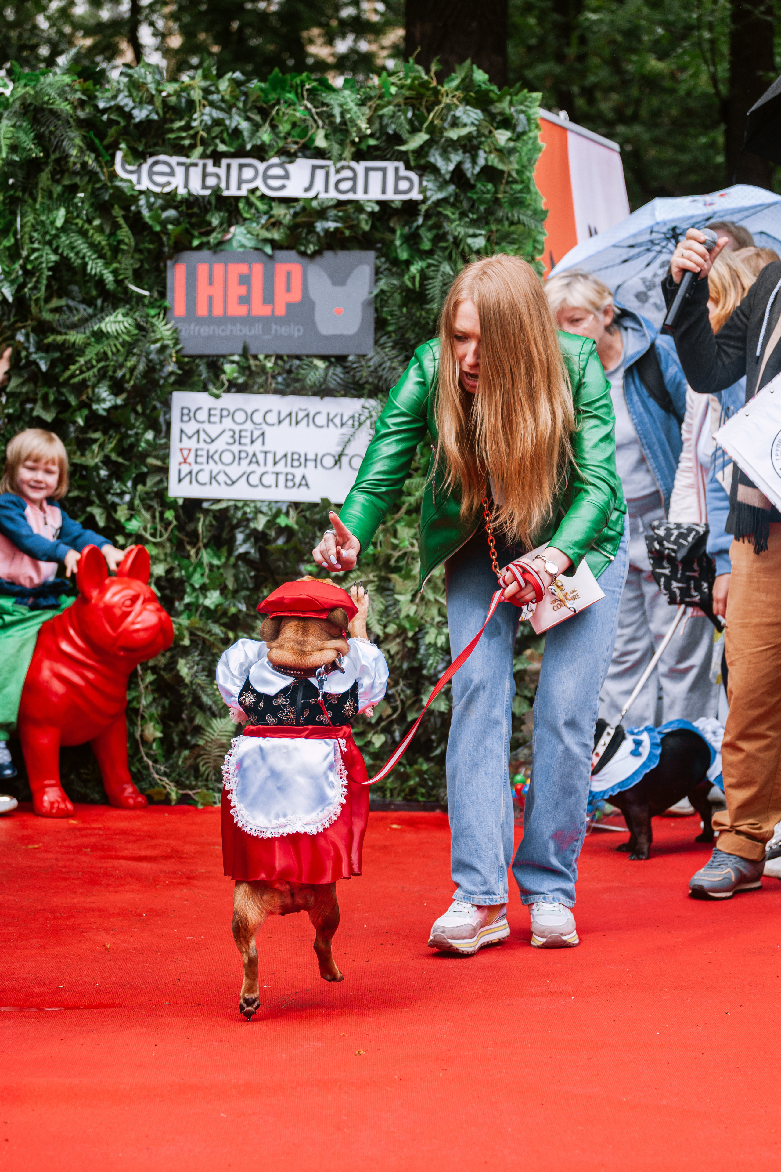 Парад французских бульдогов 15.07.2023. Фотограф-анималист Татьяна Степанова