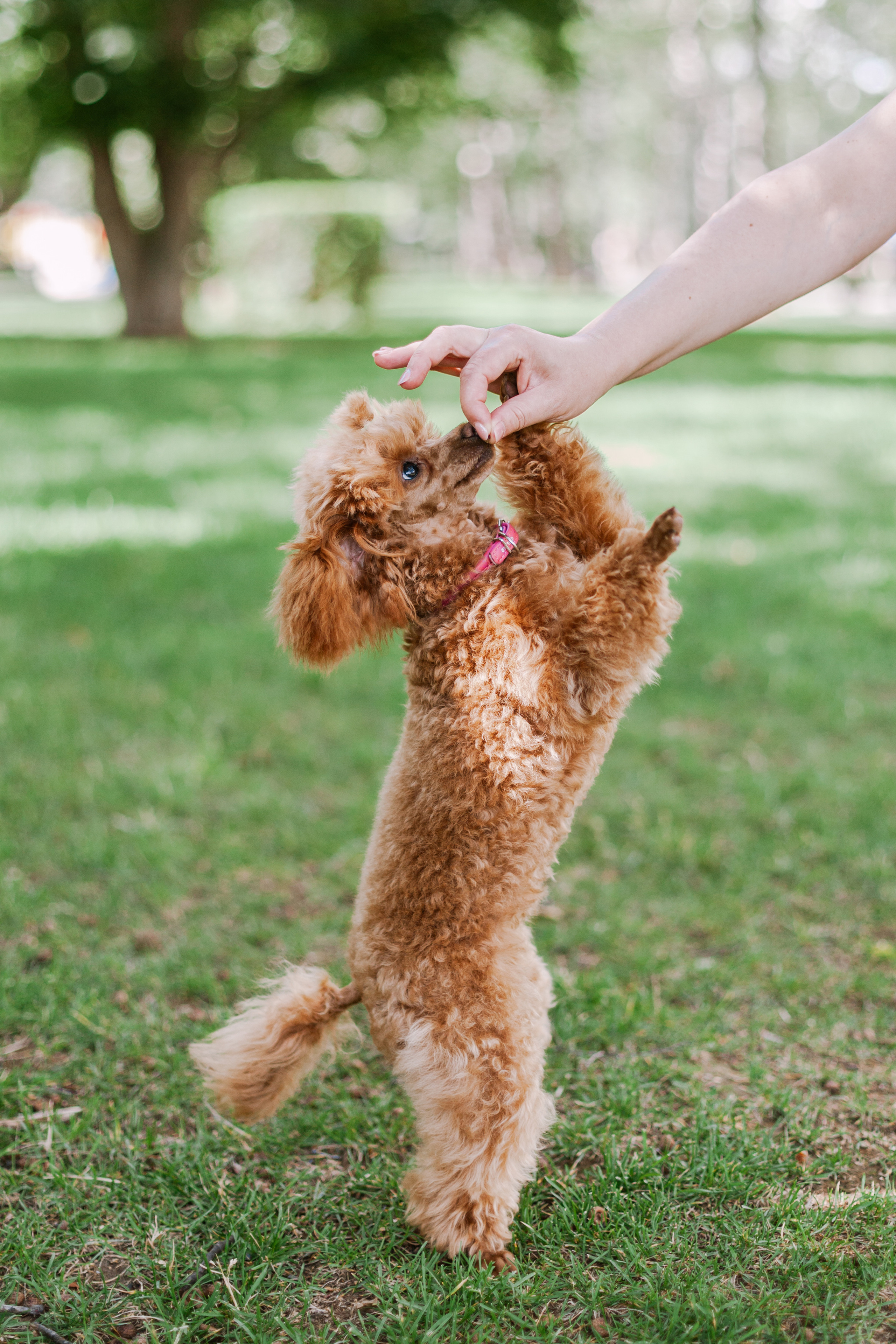 Оля и Ася. Фотограф-анималист Татьяна Степанова