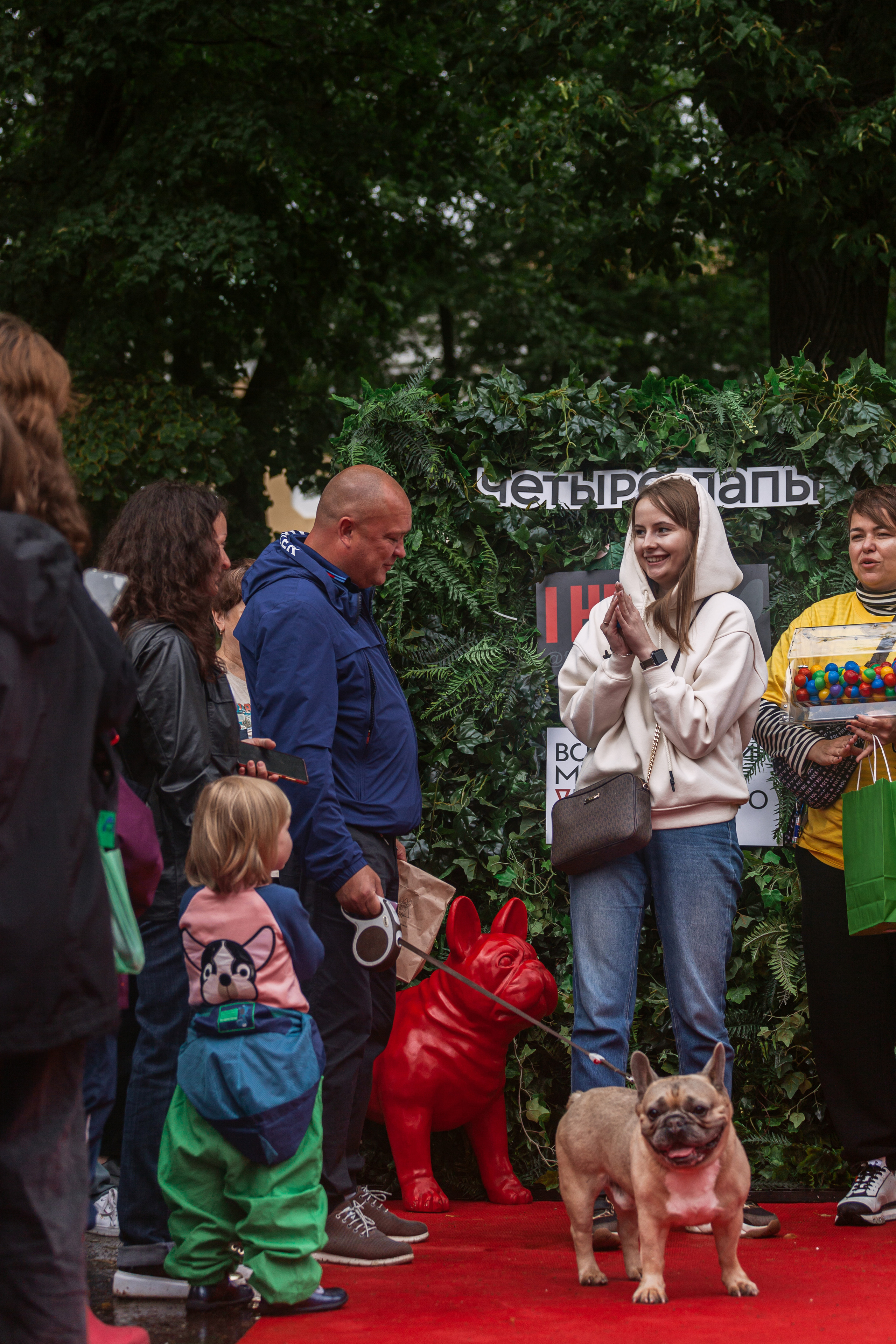 Парад французских бульдогов 15.07.2023. Фотограф-анималист Татьяна Степанова