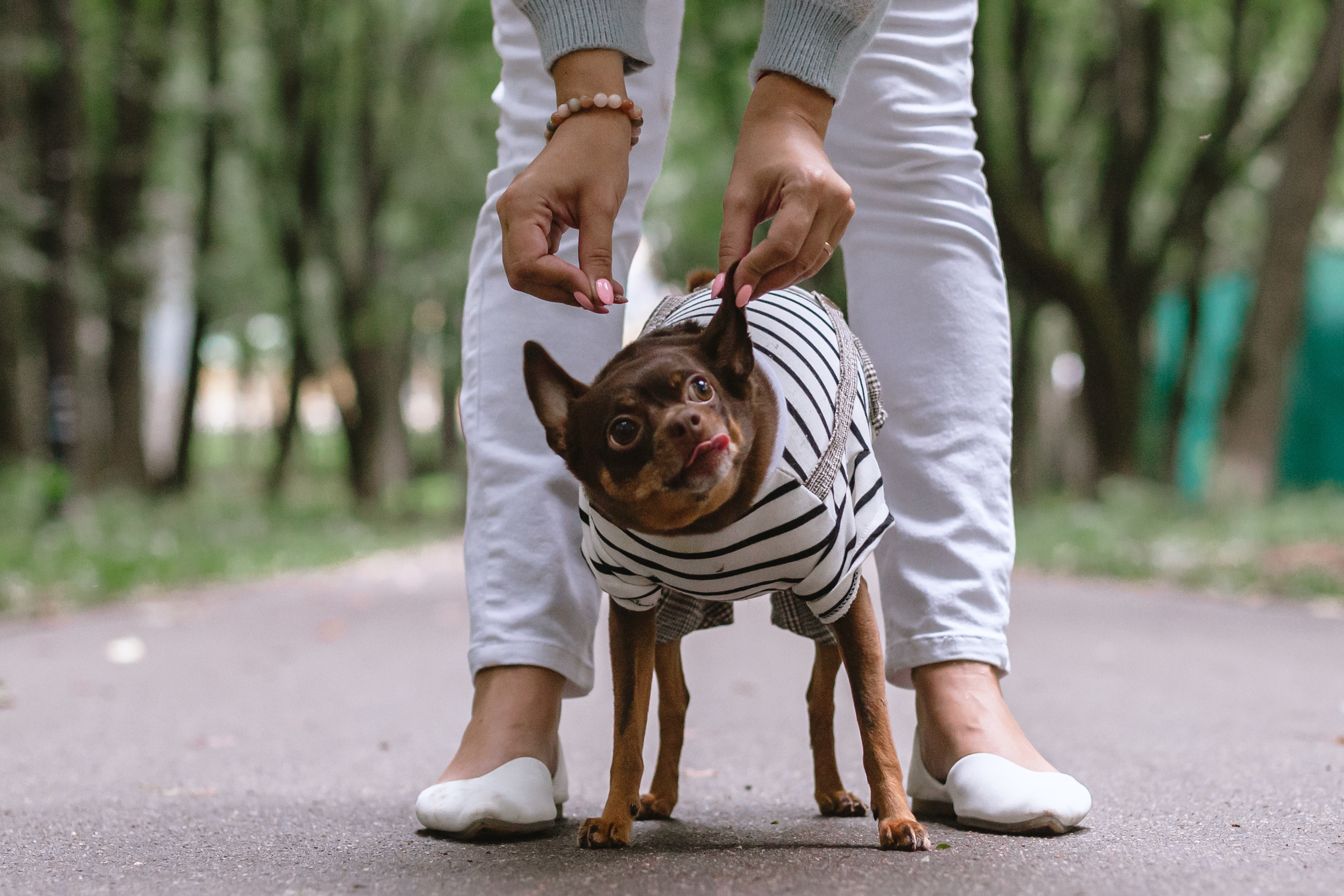 Юля и Леонид. Фотограф-анималист Татьяна Степанова