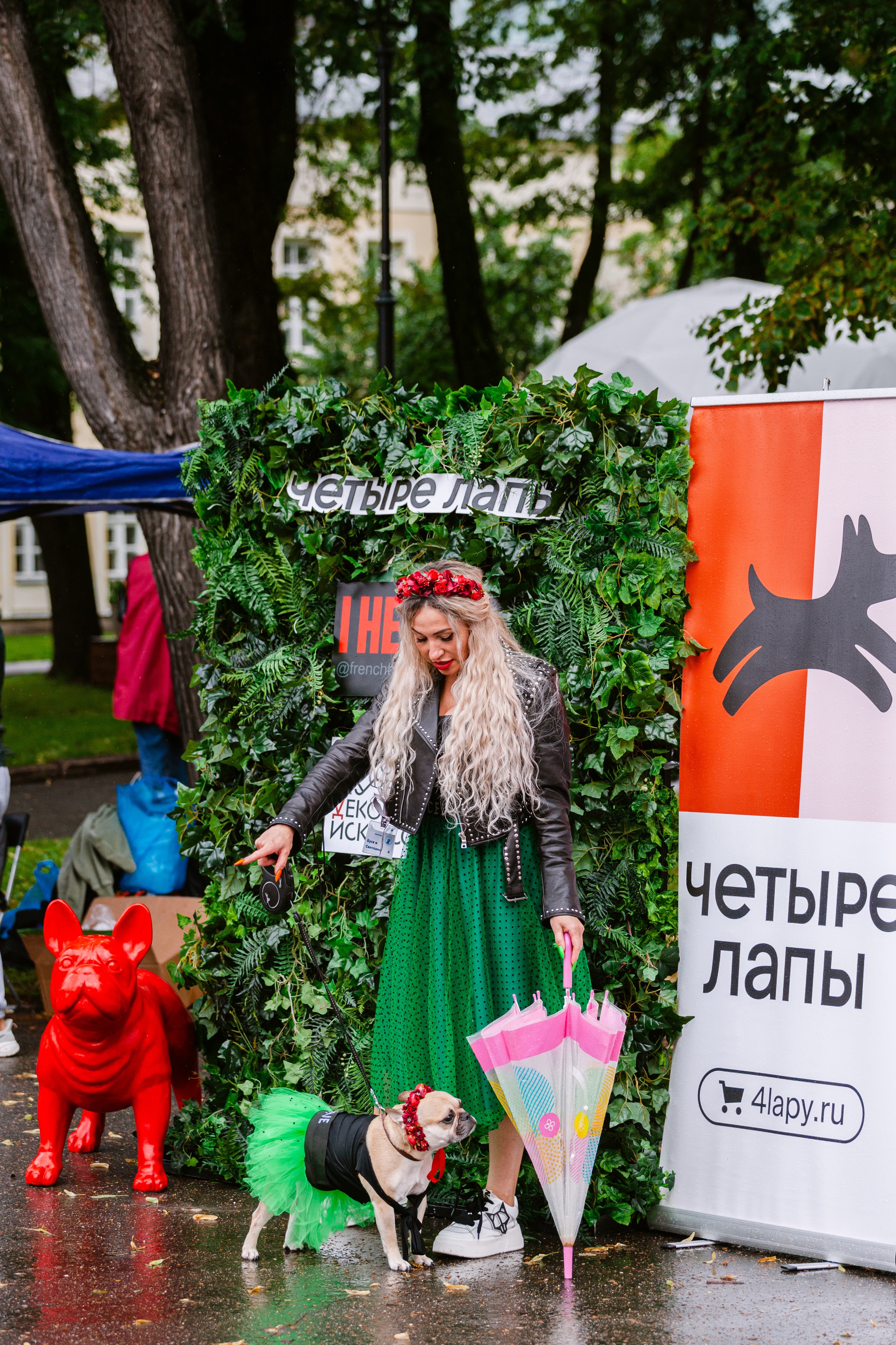 Парад французских бульдогов 15.07.2023. Фотограф-анималист Татьяна Степанова