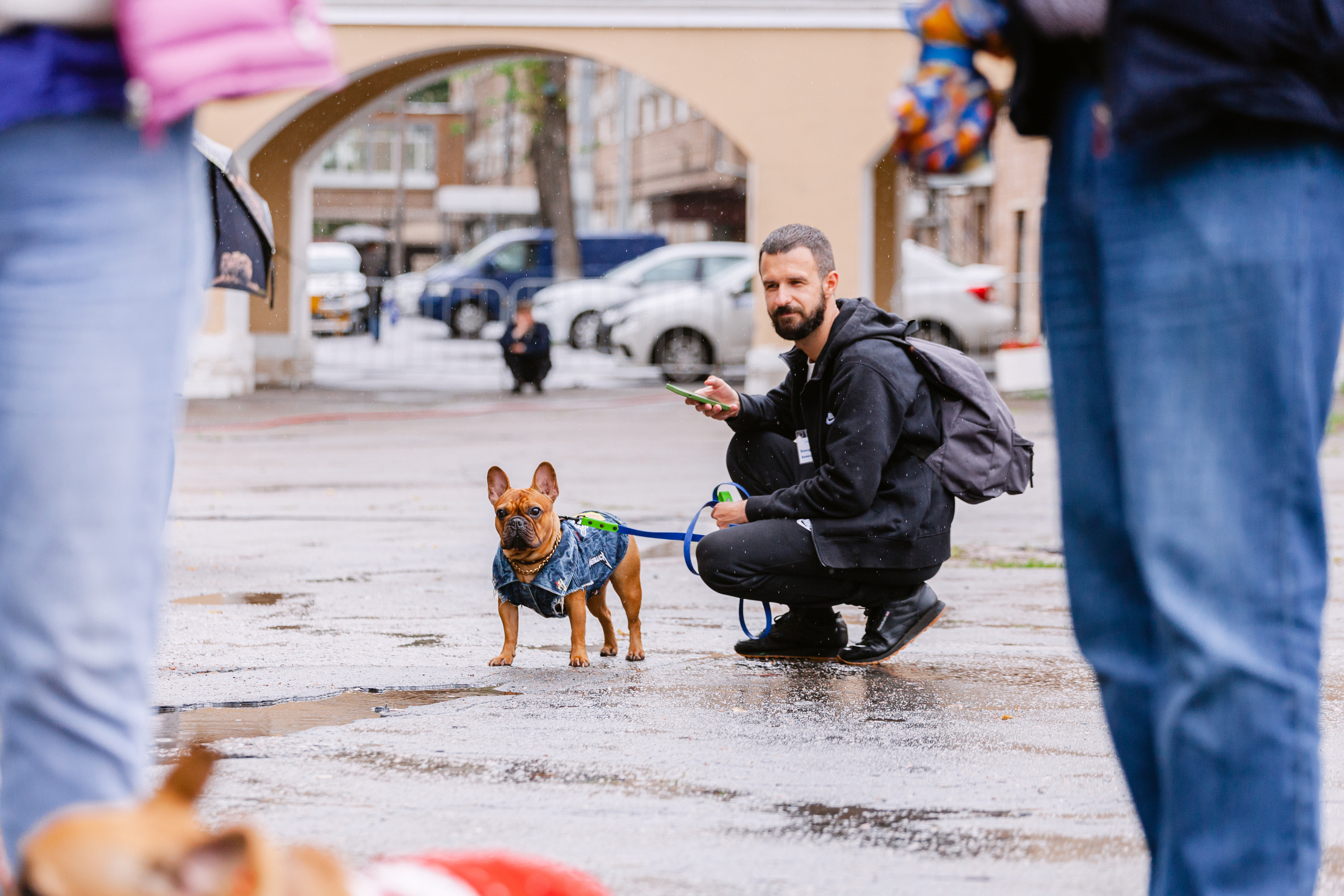 Парад французских бульдогов 15.07.2023. Фотограф-анималист Татьяна Степанова
