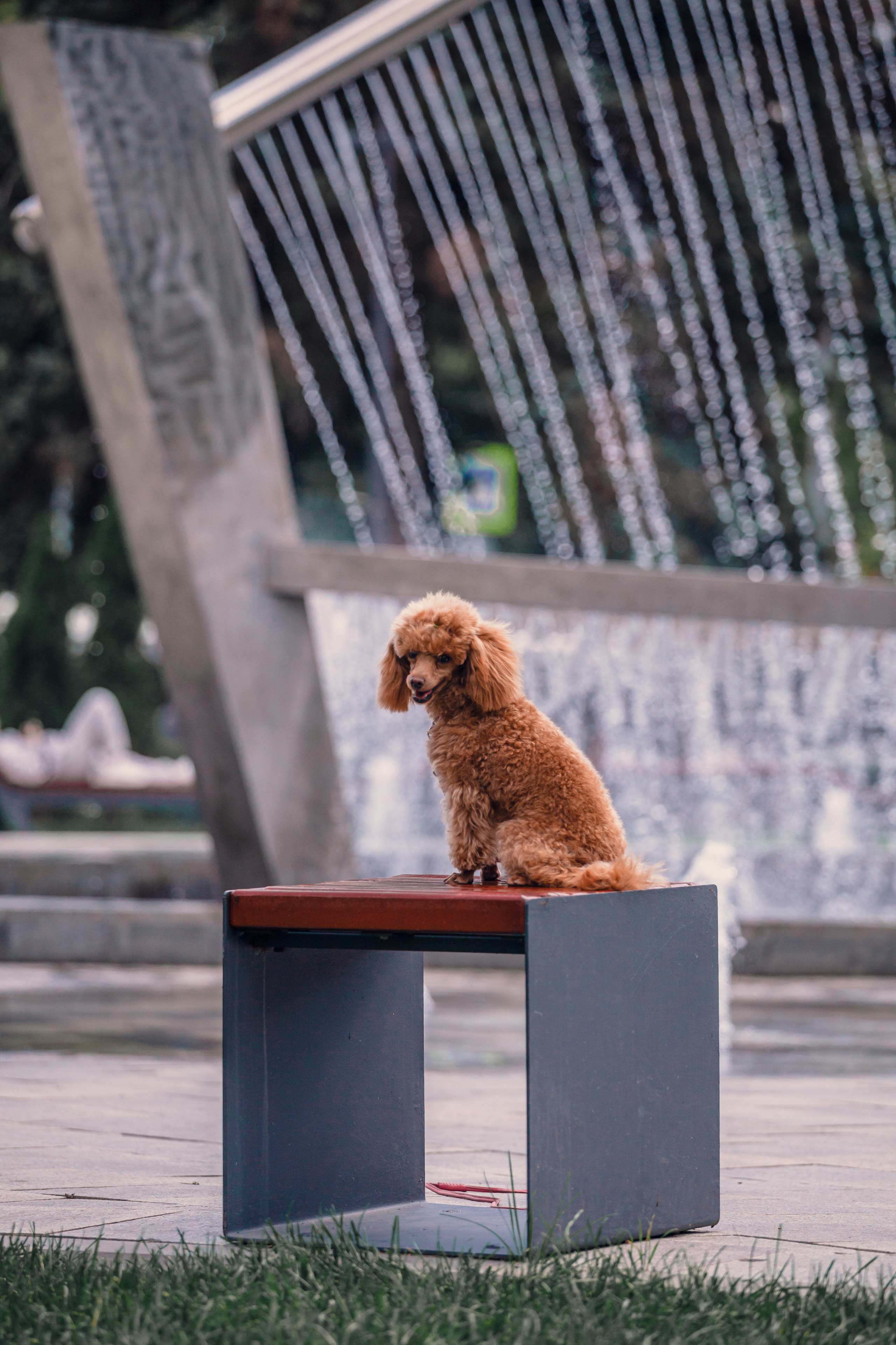 Оля и Ася. Фотограф-анималист Татьяна Степанова