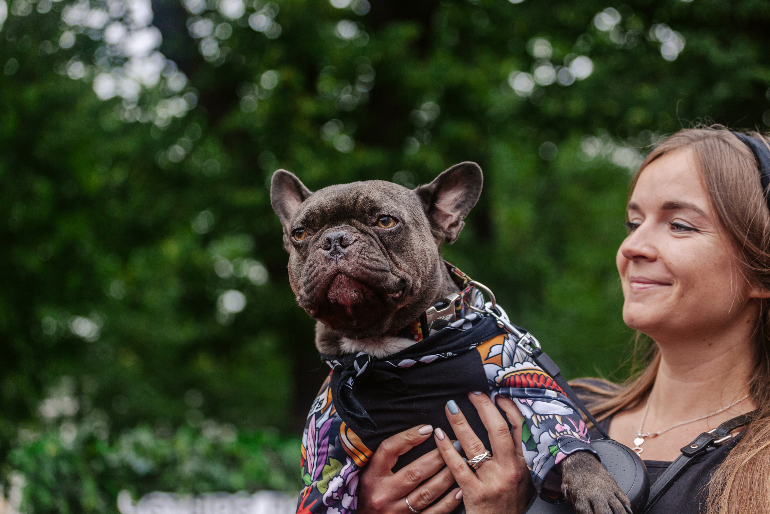 Парад французских бульдогов 15.07.2023. Фотограф-анималист Татьяна Степанова