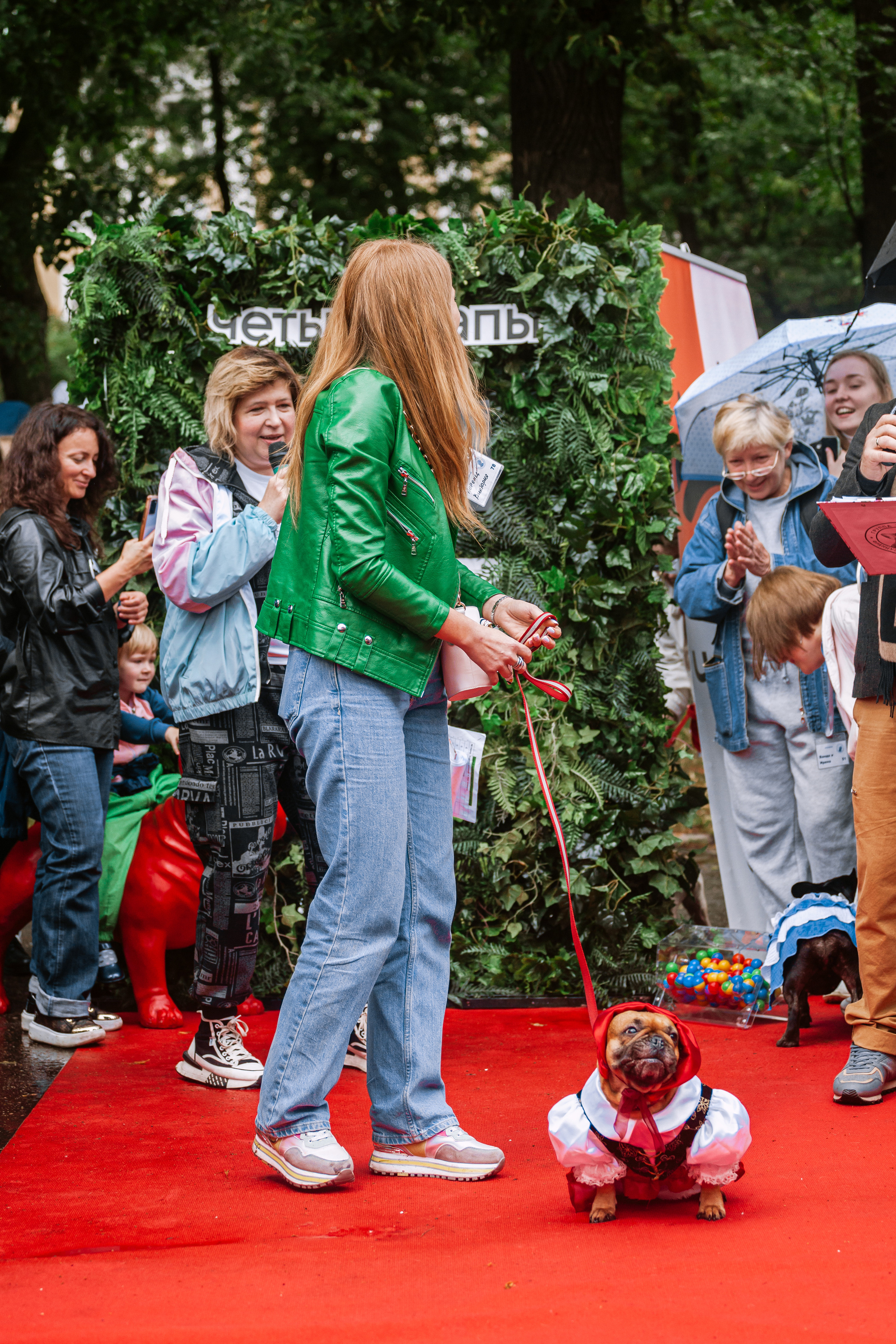 Парад французских бульдогов 15.07.2023. Фотограф-анималист Татьяна Степанова
