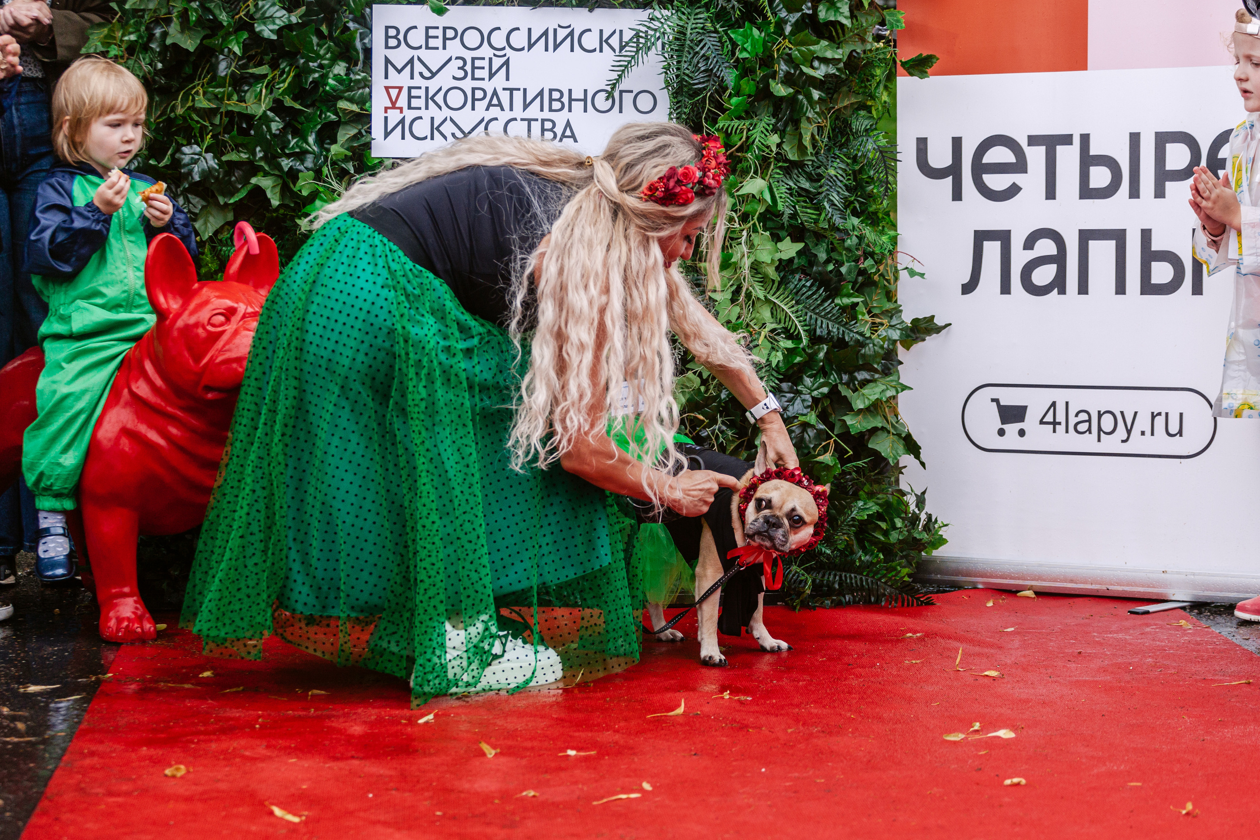 Парад французских бульдогов 15.07.2023. Фотограф-анималист Татьяна Степанова