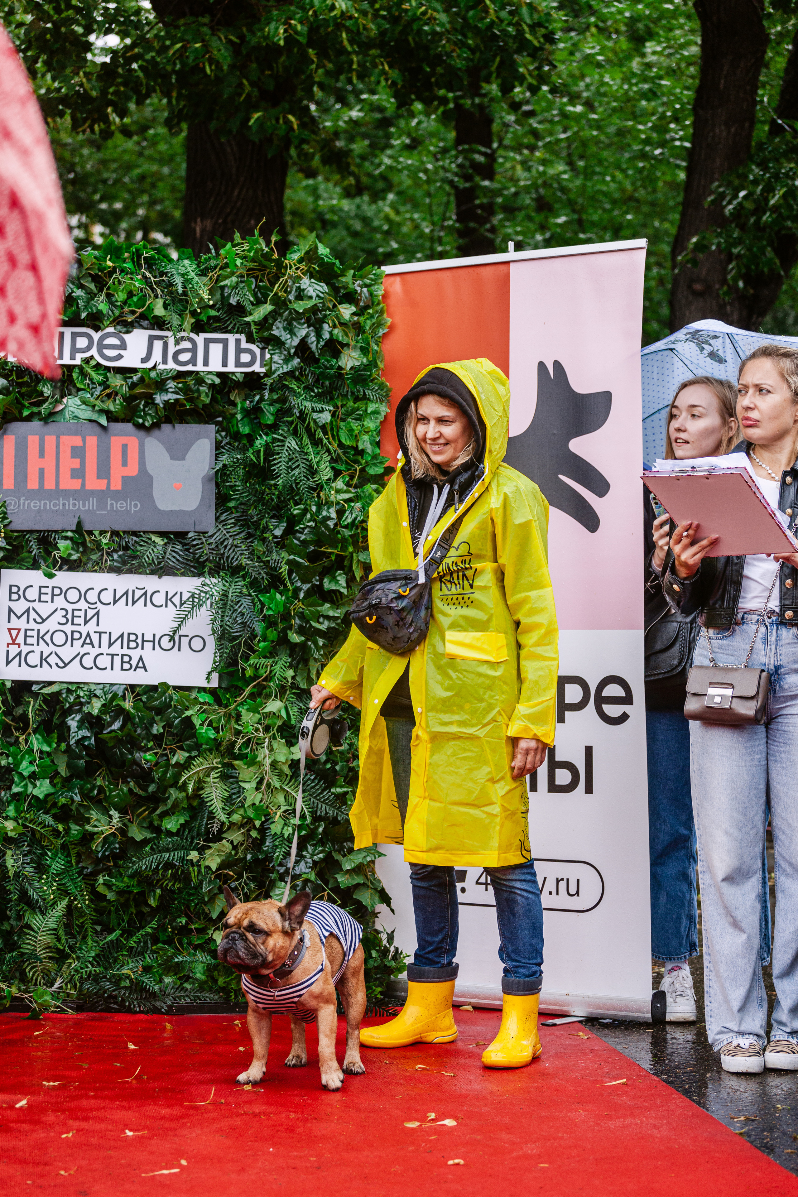 Парад французских бульдогов 15.07.2023. Фотограф-анималист Татьяна Степанова