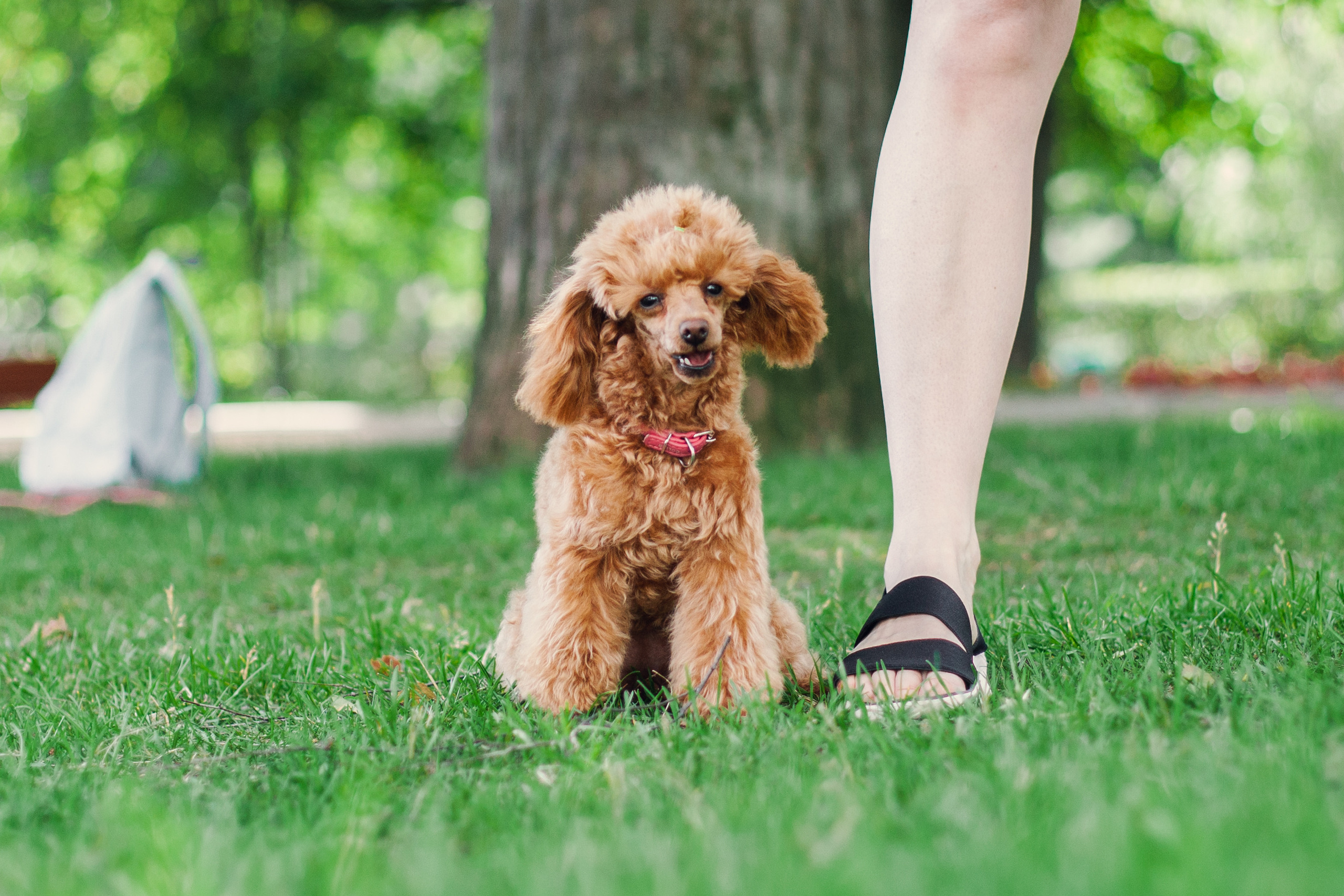 Оля и Ася. Фотограф-анималист Татьяна Степанова