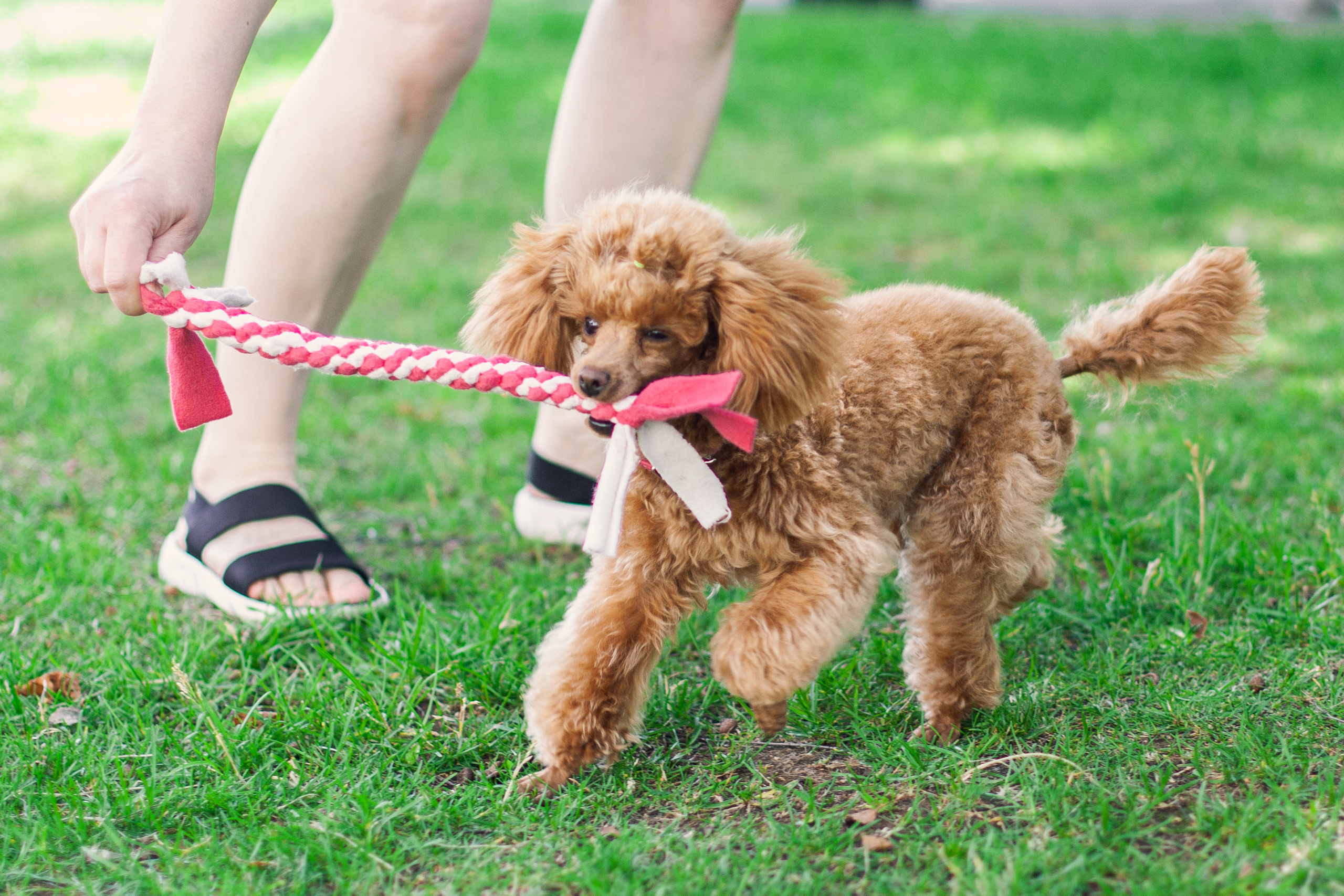 Оля и Ася. Фотограф-анималист Татьяна Степанова