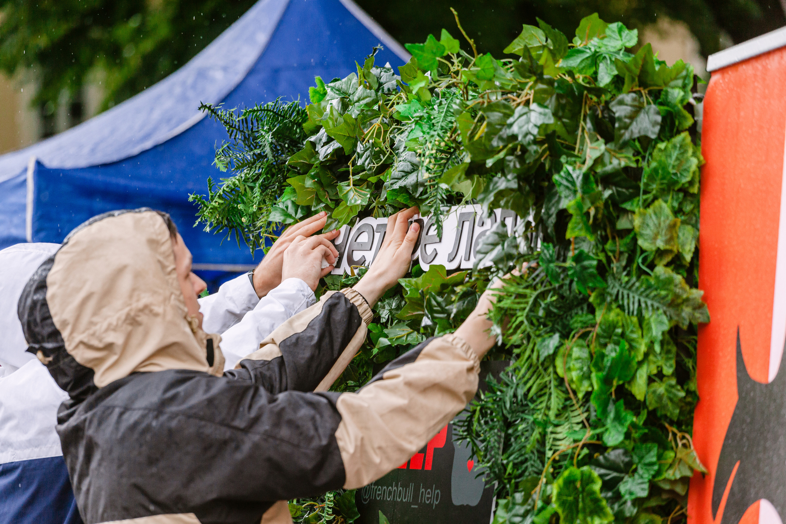 Парад французских бульдогов 15.07.2023. Фотограф-анималист Татьяна Степанова