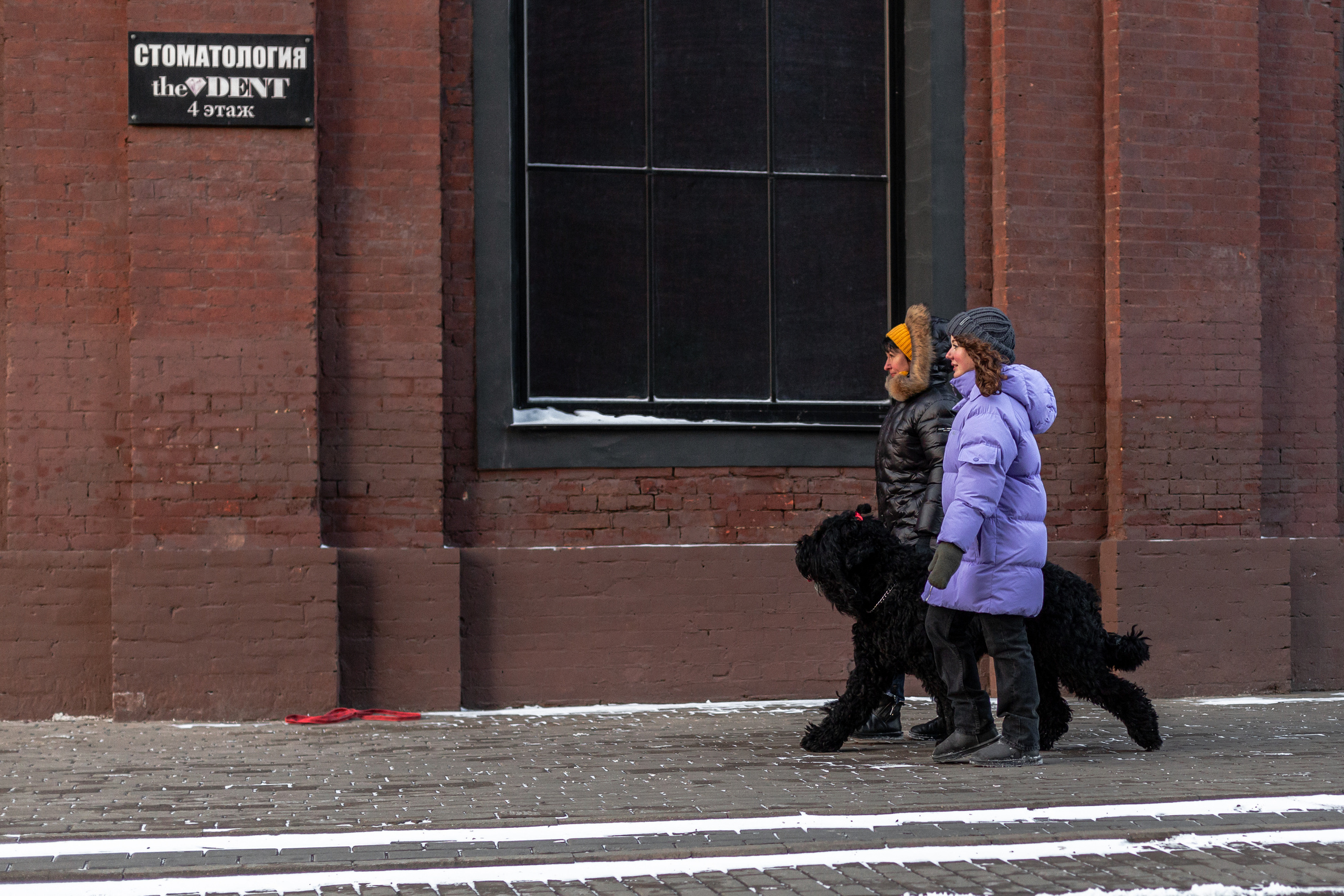 Фотопрогулка завод Арма. Фотограф-анималист Татьяна Степанова