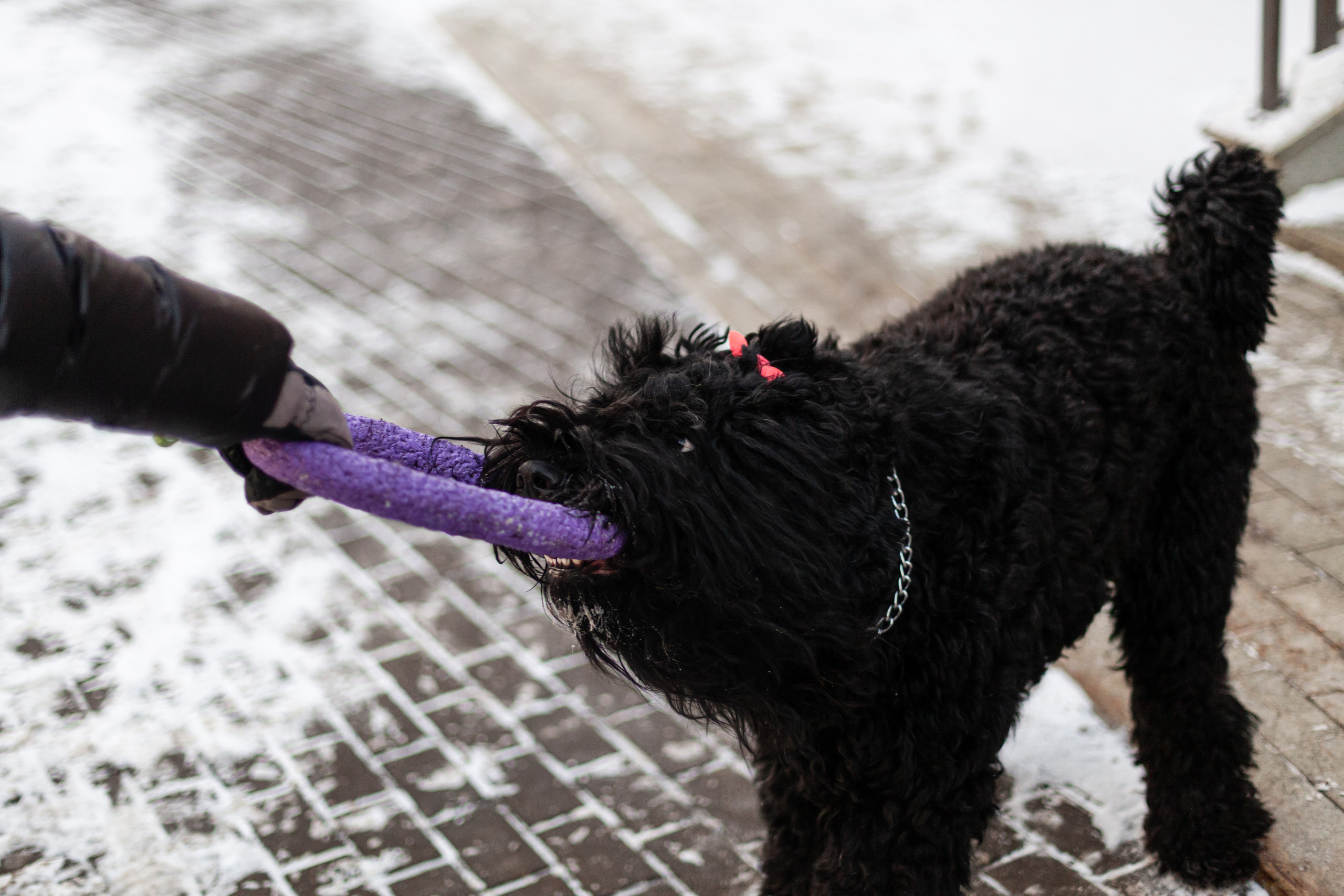 Фотопрогулка завод Арма. Фотограф-анималист Татьяна Степанова