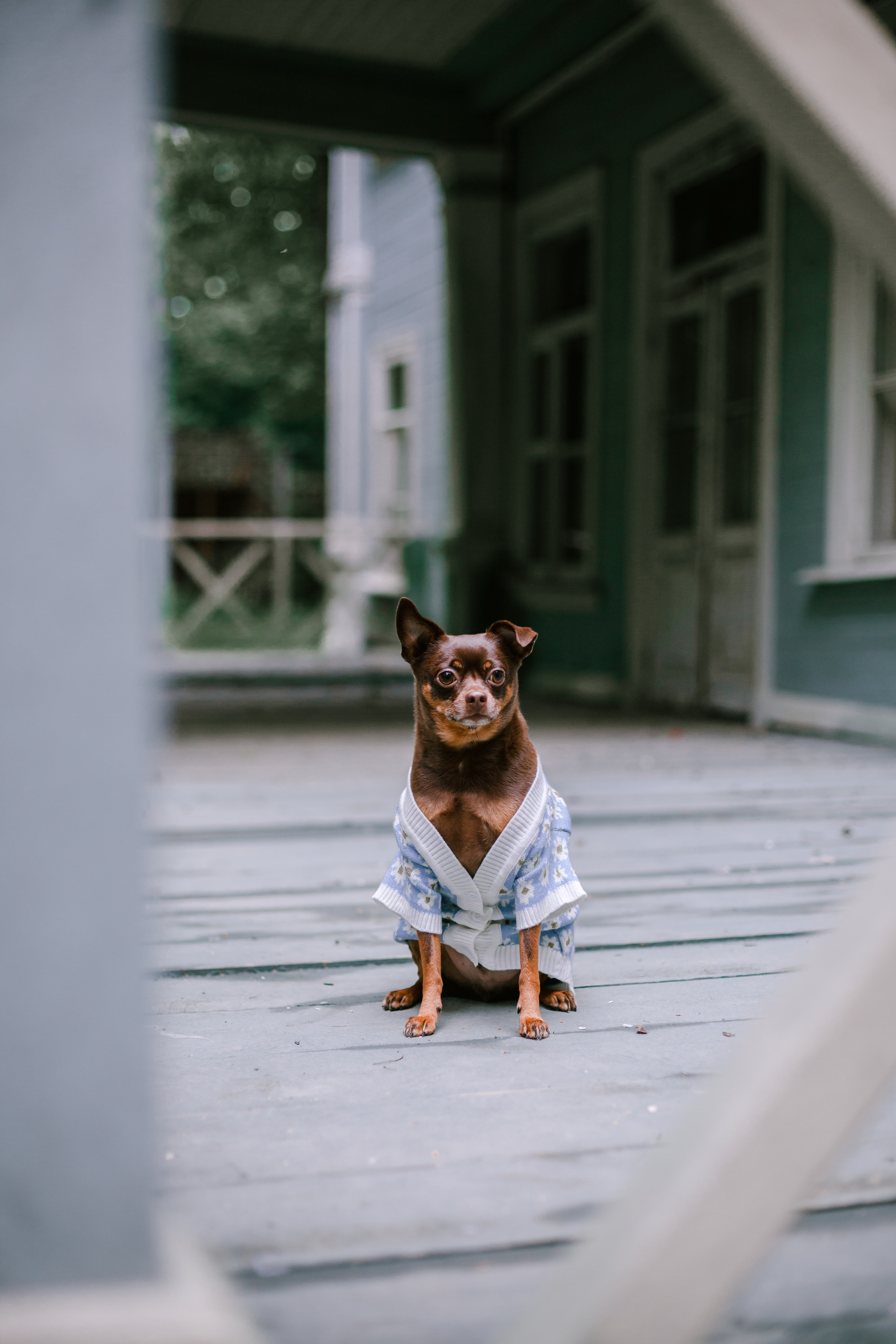 Юля и Леонид. Фотограф-анималист Татьяна Степанова