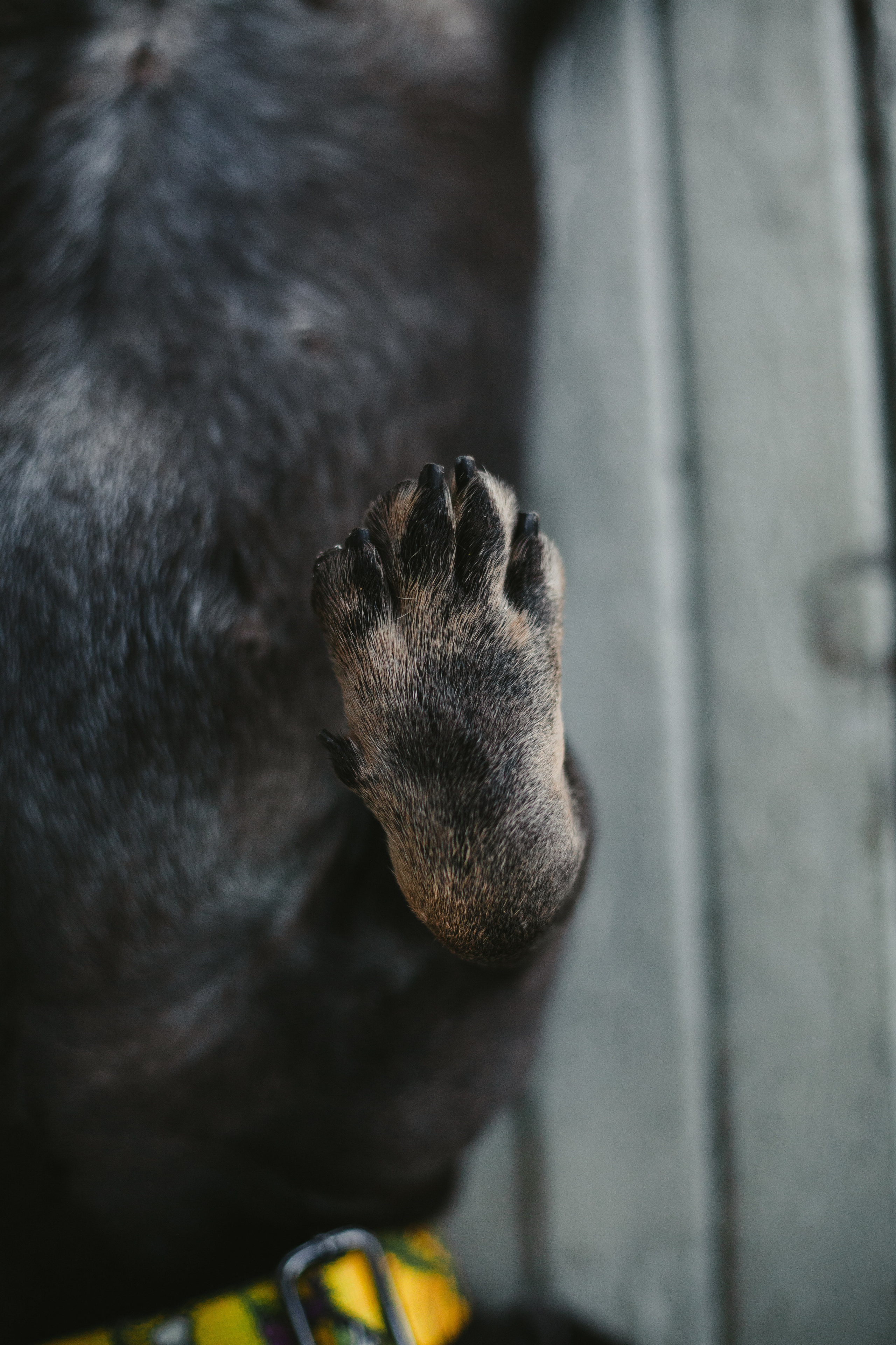 Фотопрогулка у МГУ. Фотограф-анималист Татьяна Степанова