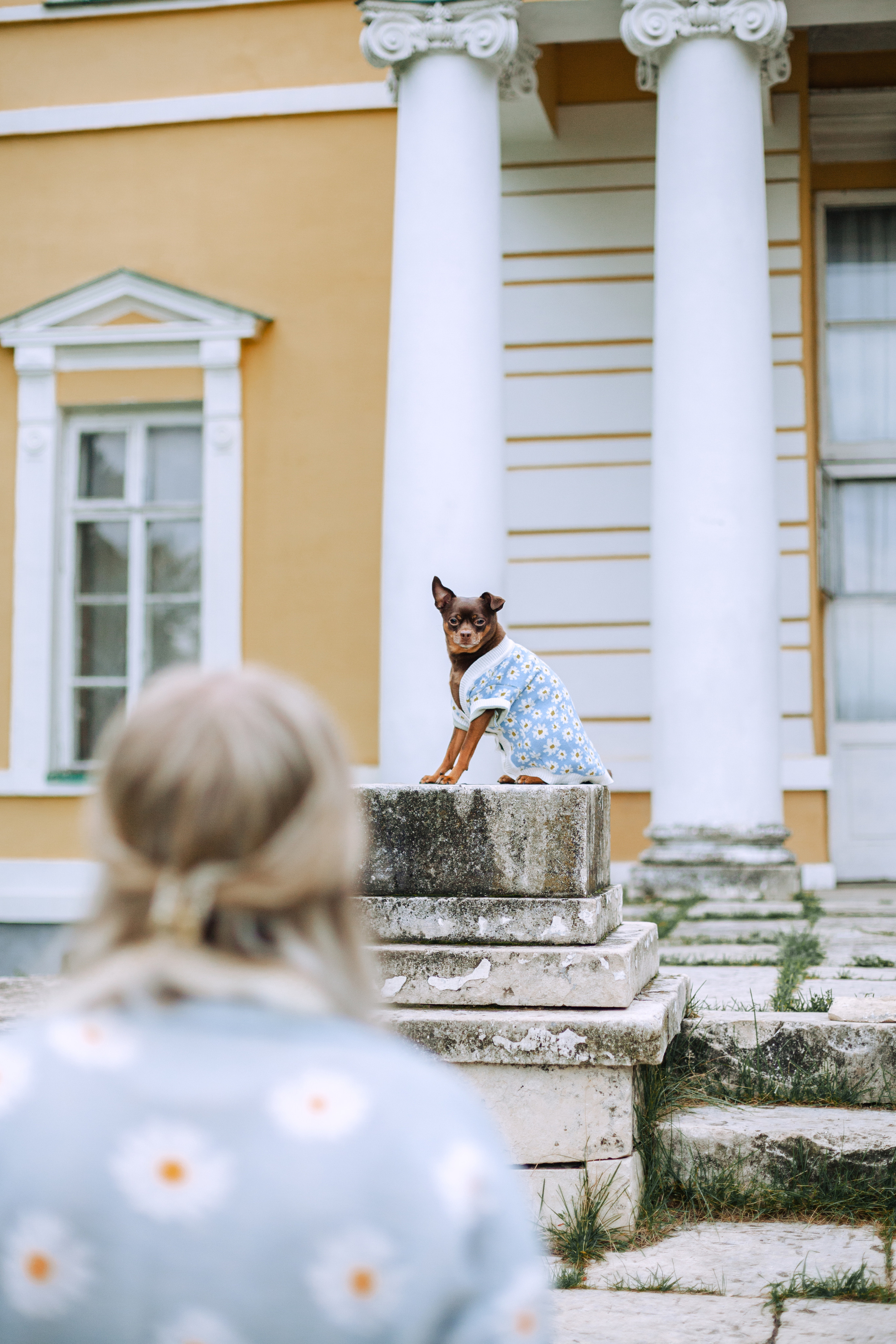 Юля и Леонид. Фотограф-анималист Татьяна Степанова