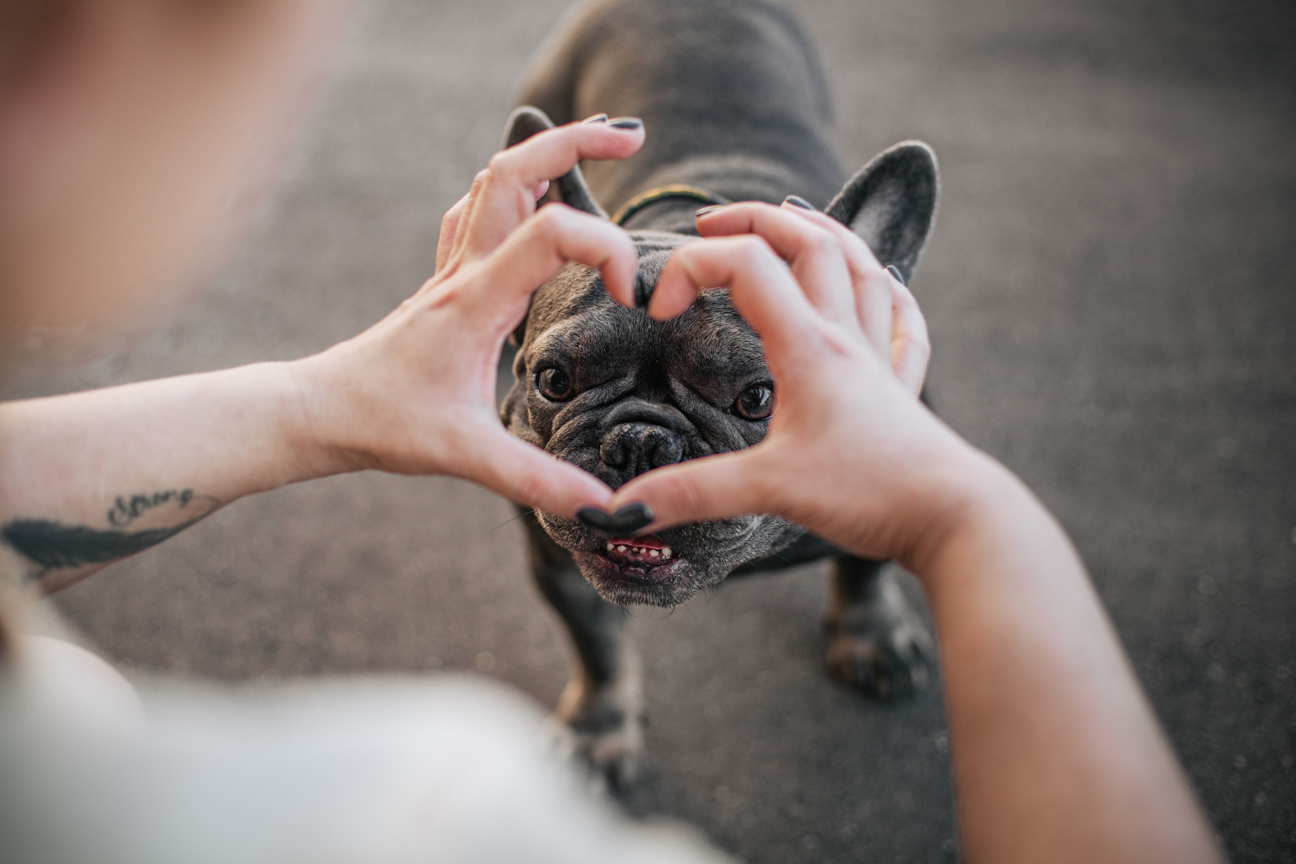 Фотопрогулка у МГУ. Фотограф-анималист Татьяна Степанова