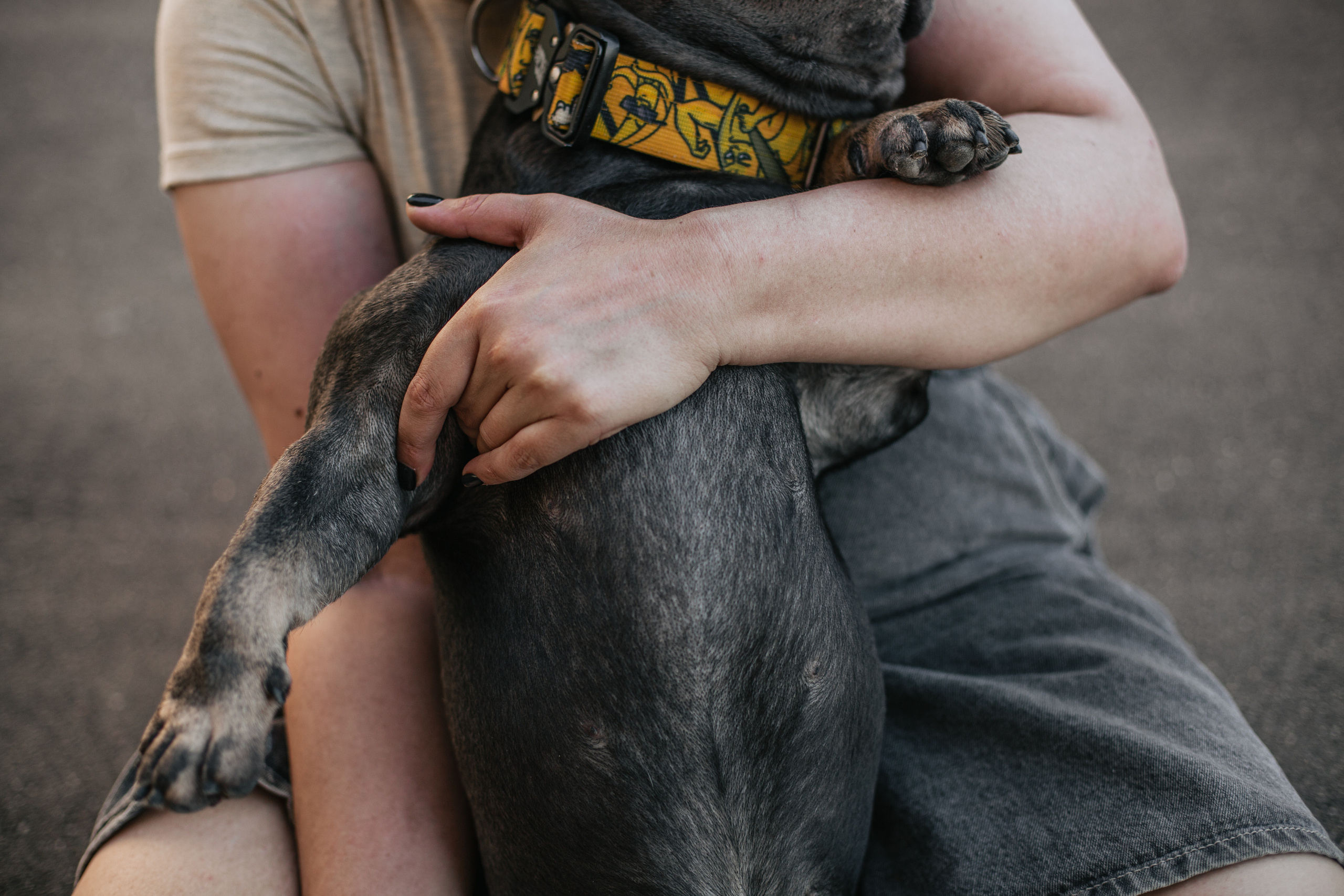 Фотопрогулка у МГУ. Фотограф-анималист Татьяна Степанова