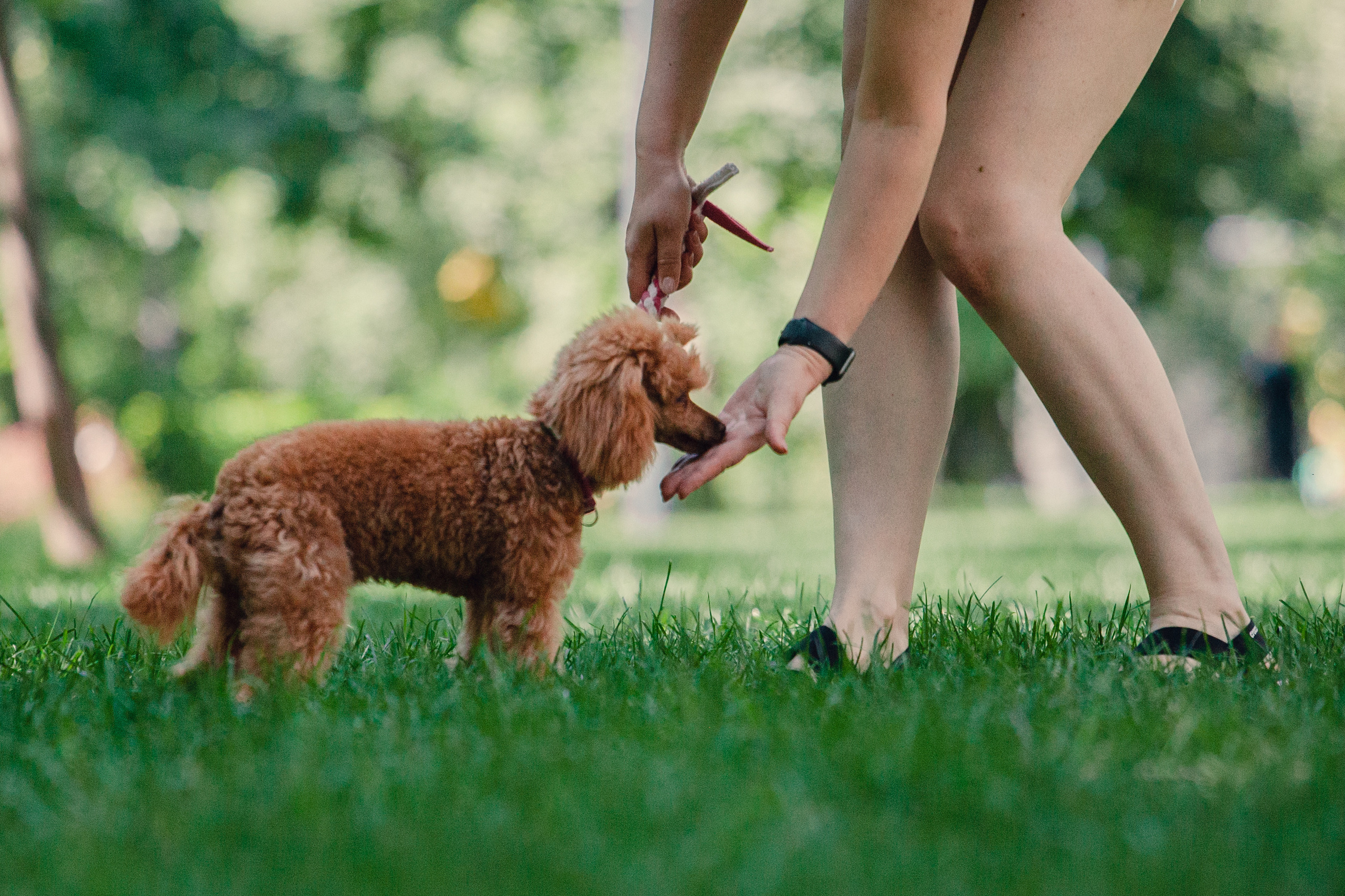 Оля и Ася. Фотограф-анималист Татьяна Степанова