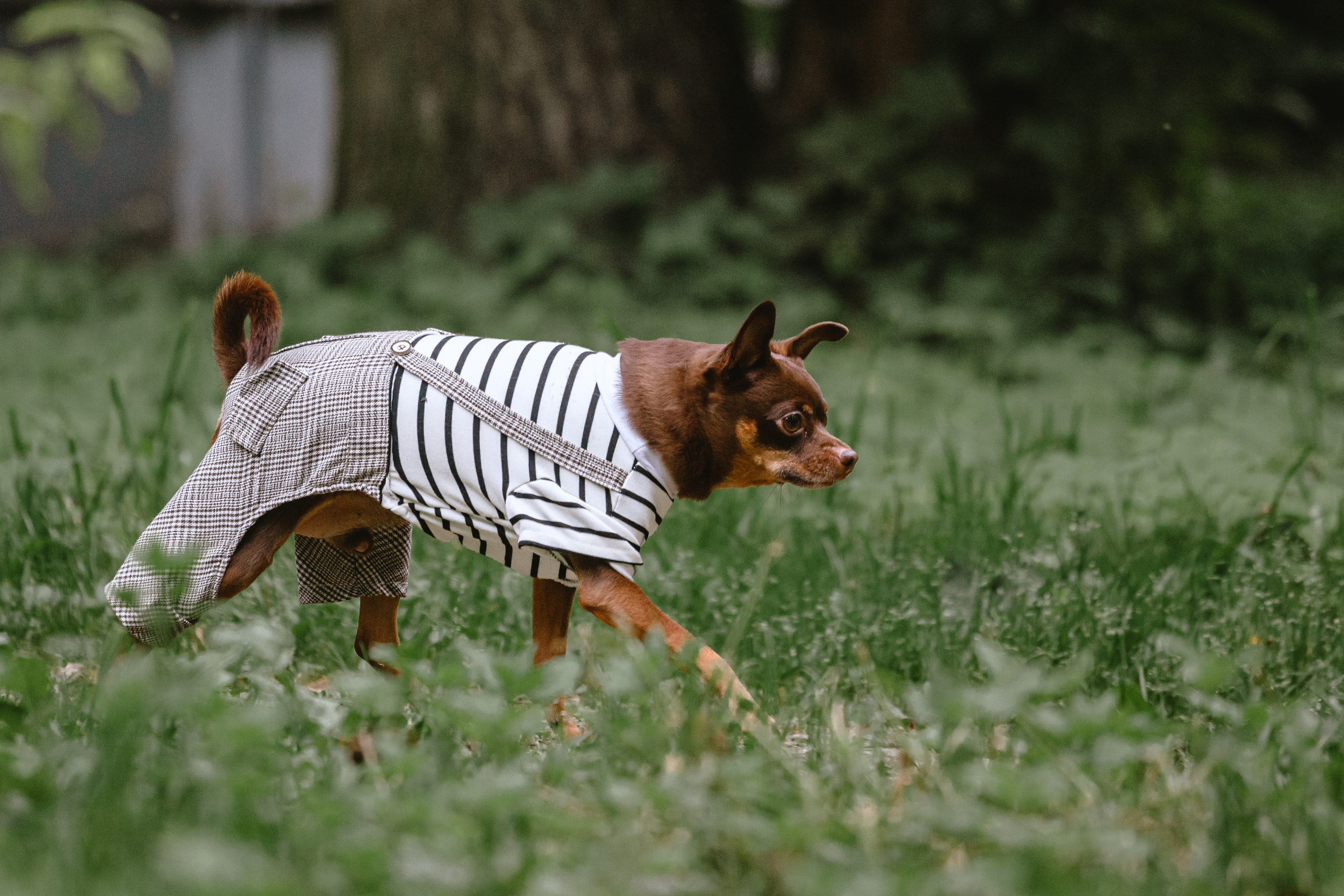 Юля и Леонид. Фотограф-анималист Татьяна Степанова