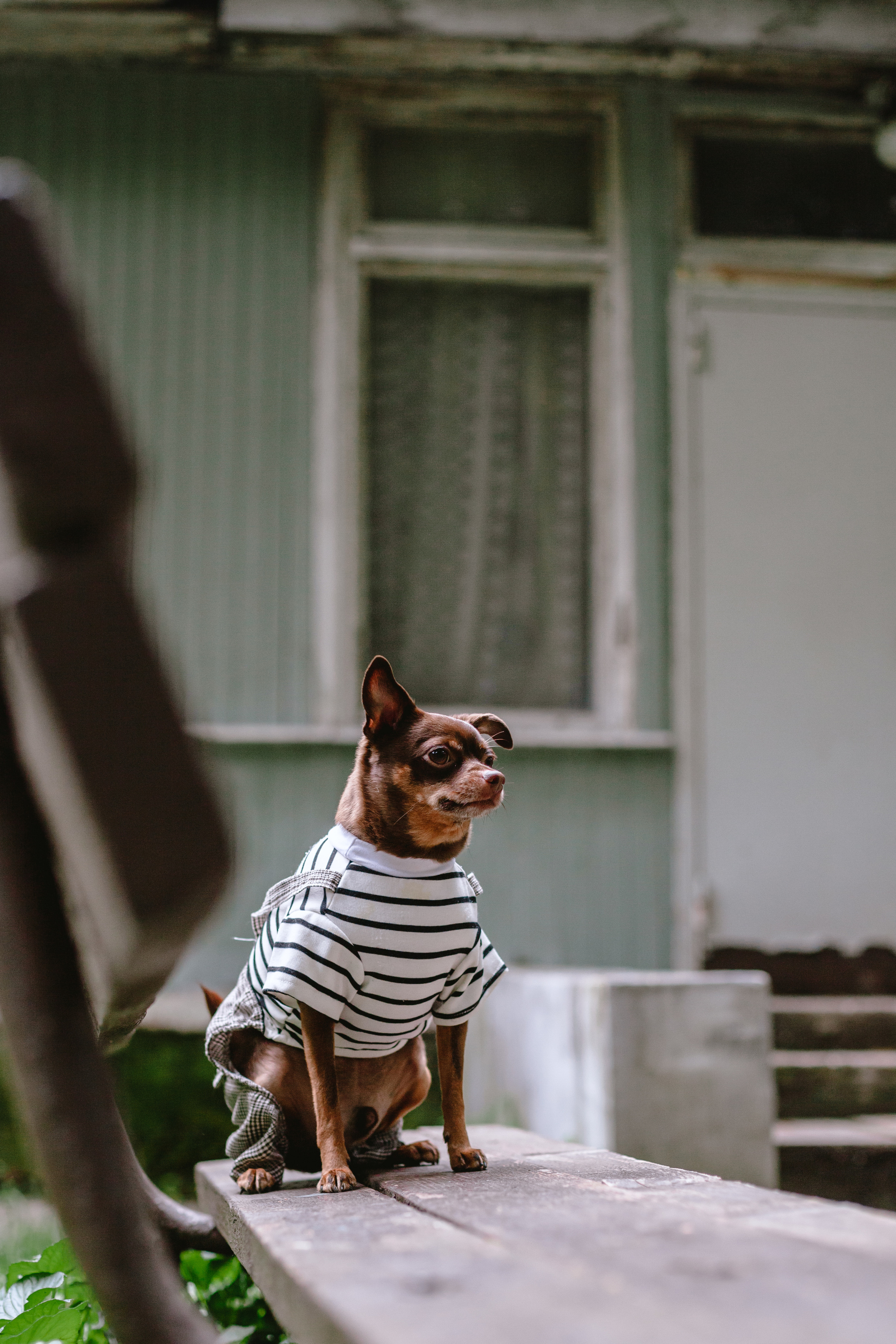 Юля и Леонид. Фотограф-анималист Татьяна Степанова