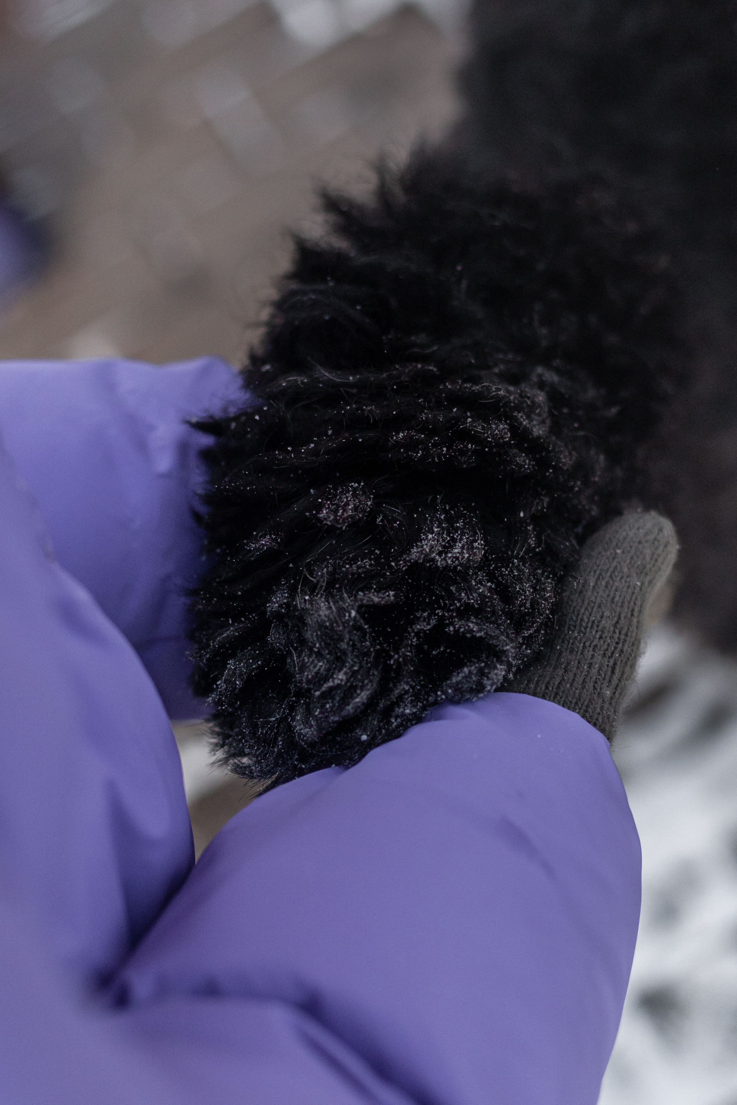 Фотопрогулка завод Арма. Фотограф-анималист Татьяна Степанова