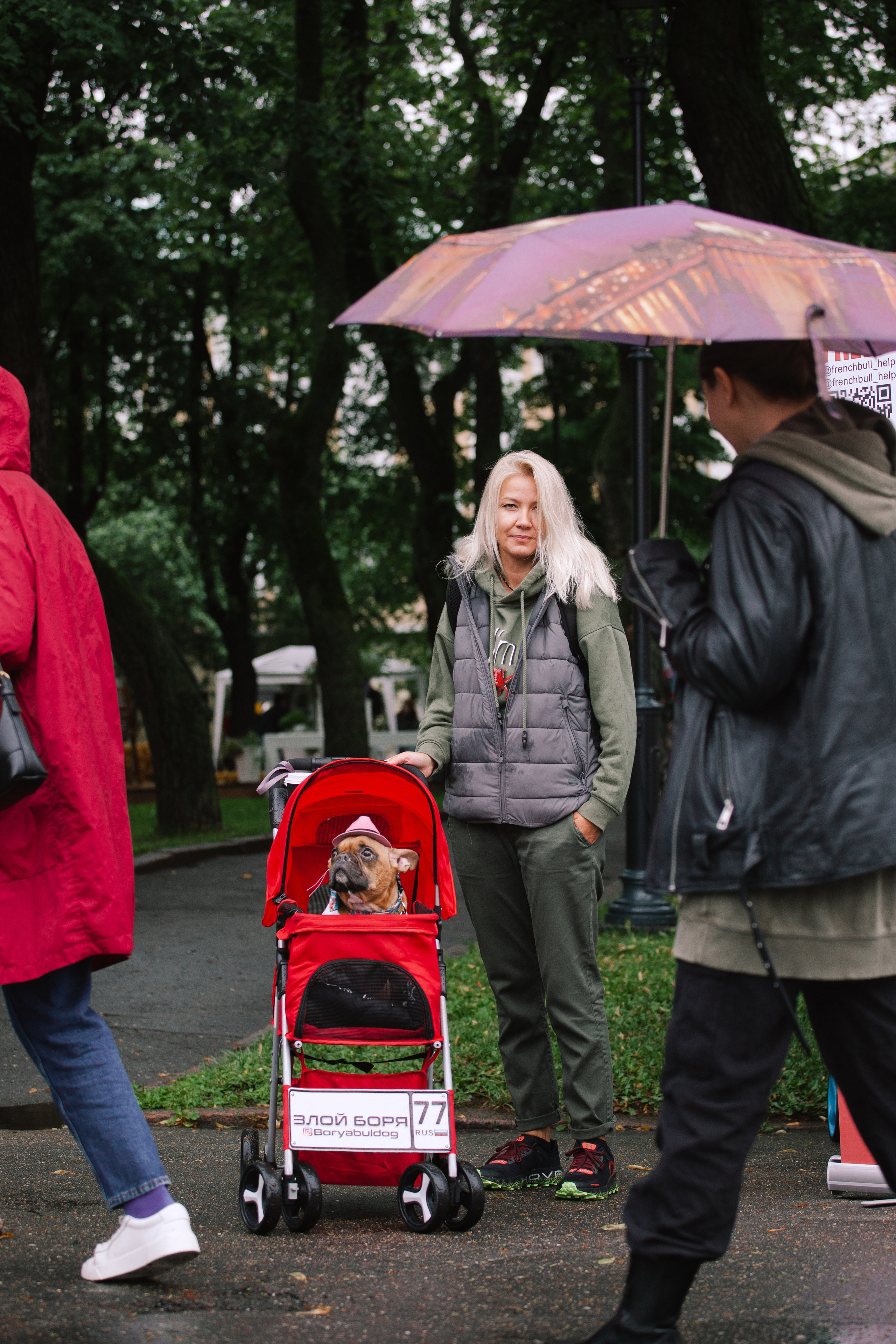 Парад французских бульдогов 15.07.2023. Фотограф-анималист Татьяна Степанова