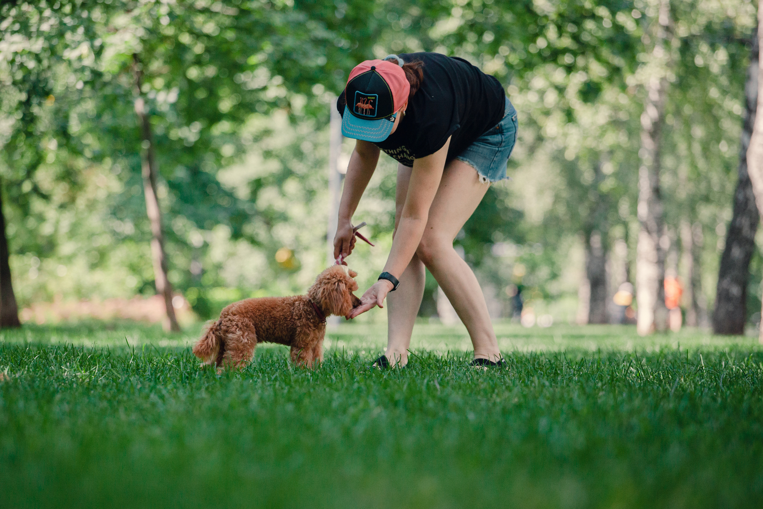 Оля и Ася. Фотограф-анималист Татьяна Степанова