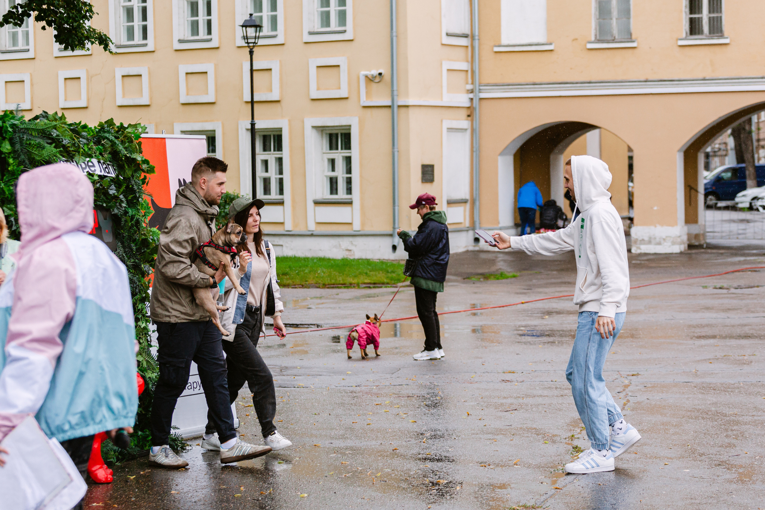 Парад французских бульдогов 15.07.2023. Фотограф-анималист Татьяна Степанова