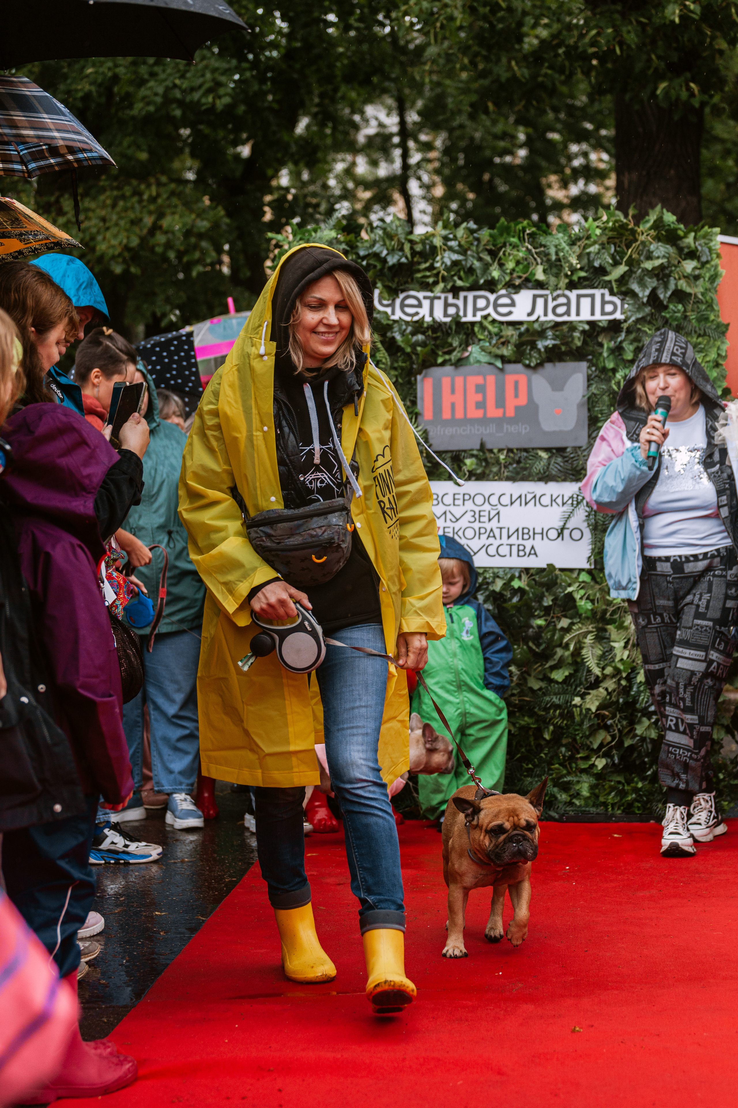 Парад французских бульдогов 15.07.2023. Фотограф-анималист Татьяна Степанова