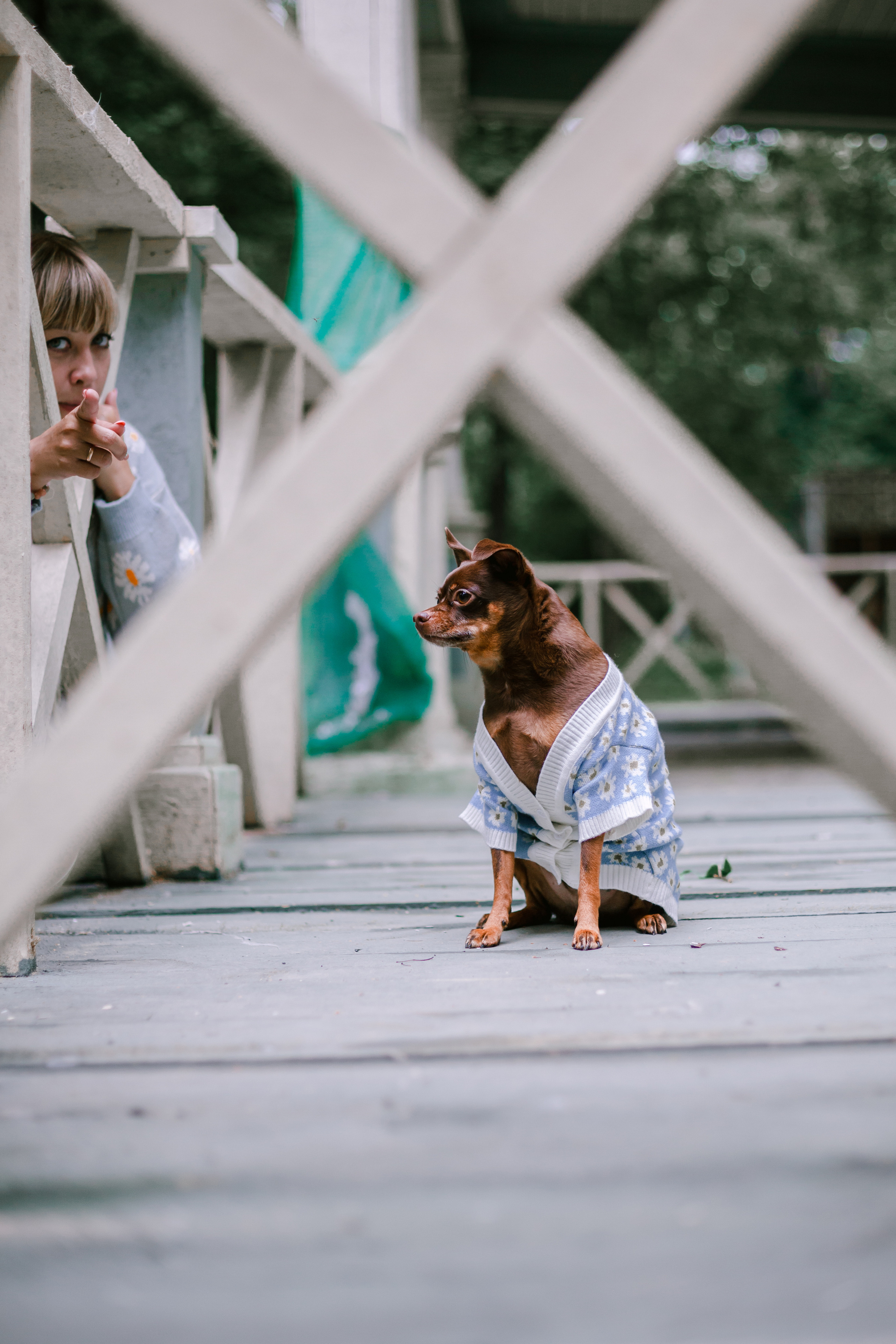Юля и Леонид. Фотограф-анималист Татьяна Степанова