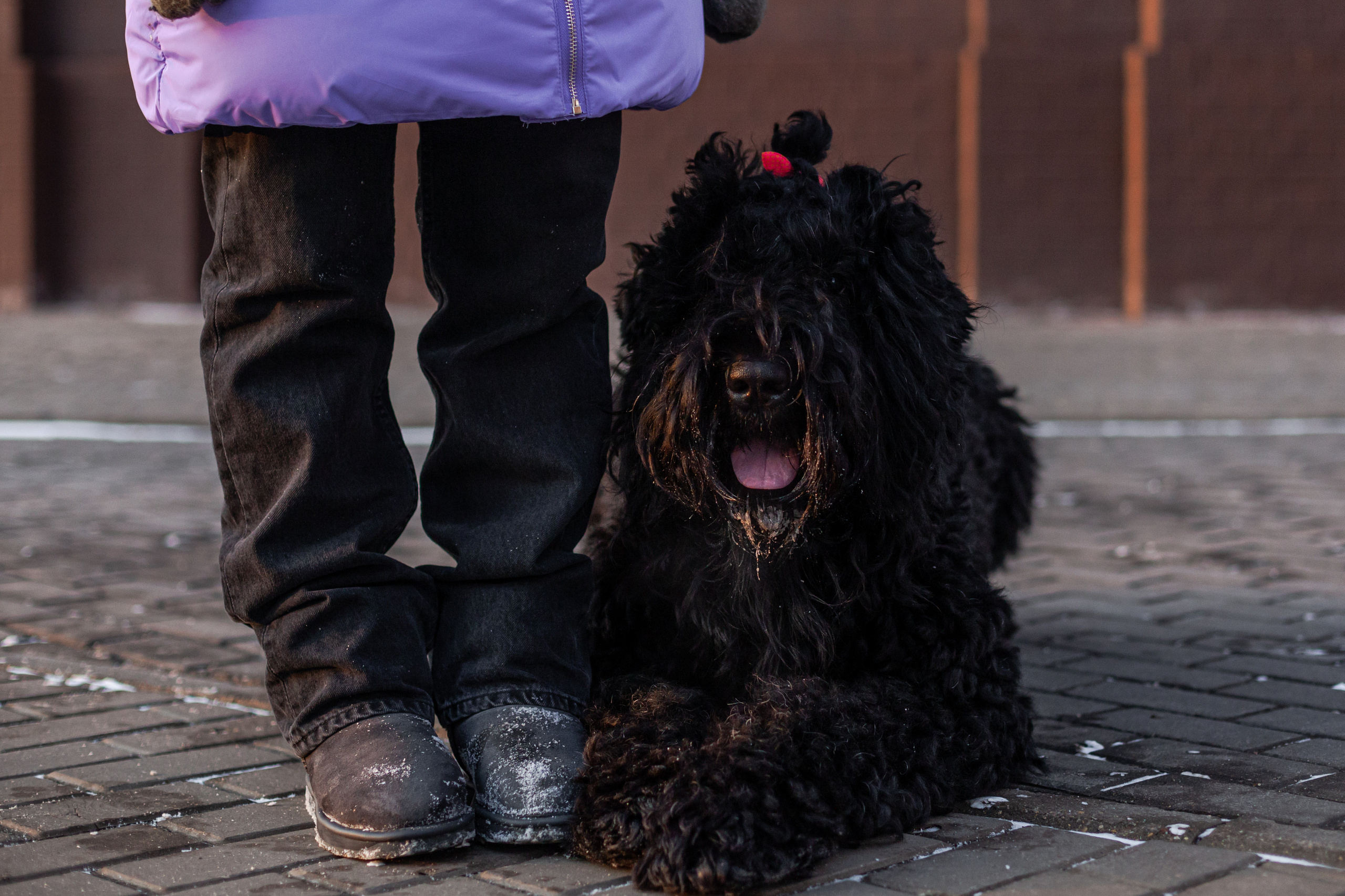 Фотопрогулка завод Арма. Фотограф-анималист Татьяна Степанова