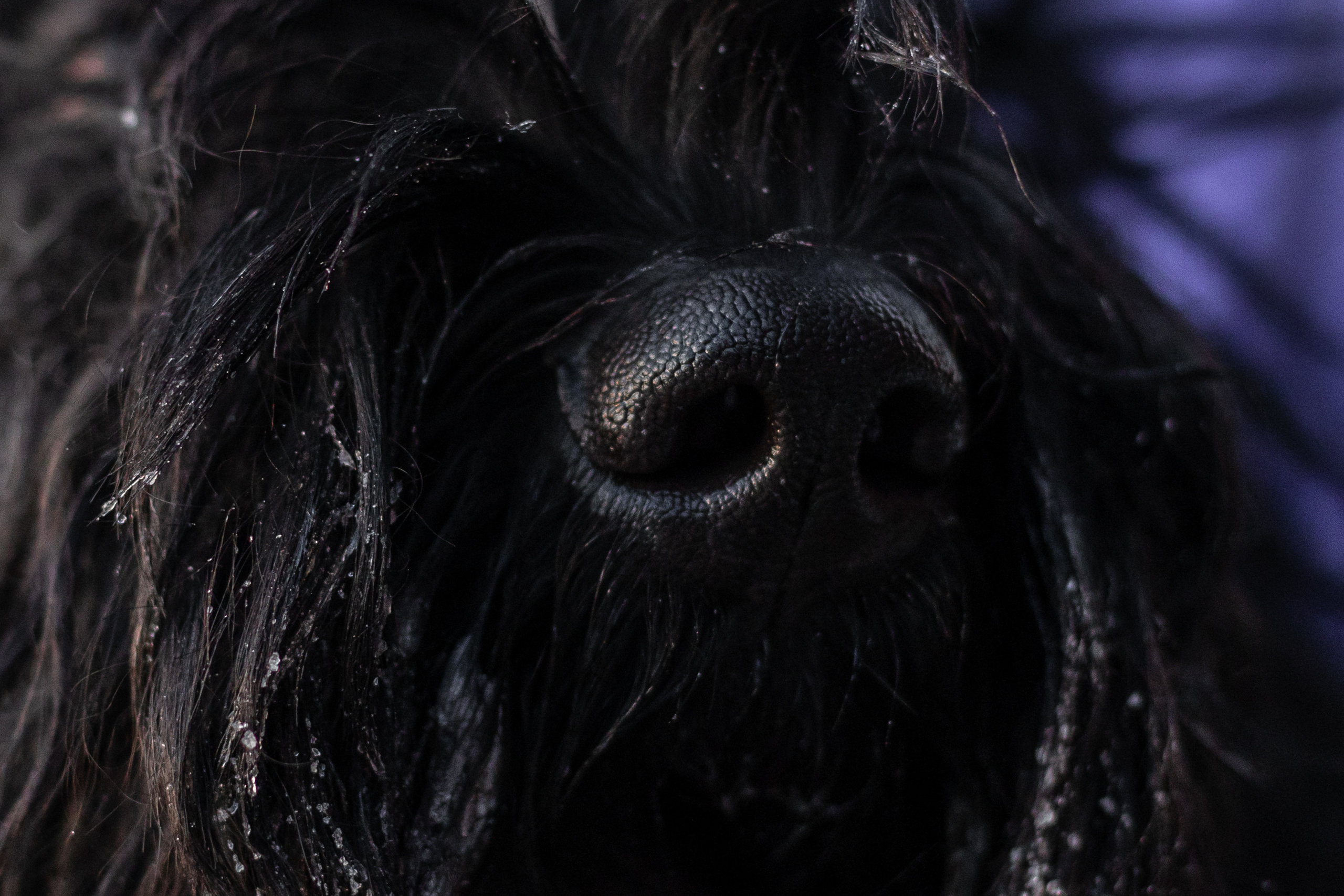 Фотопрогулка завод Арма. Фотограф-анималист Татьяна Степанова